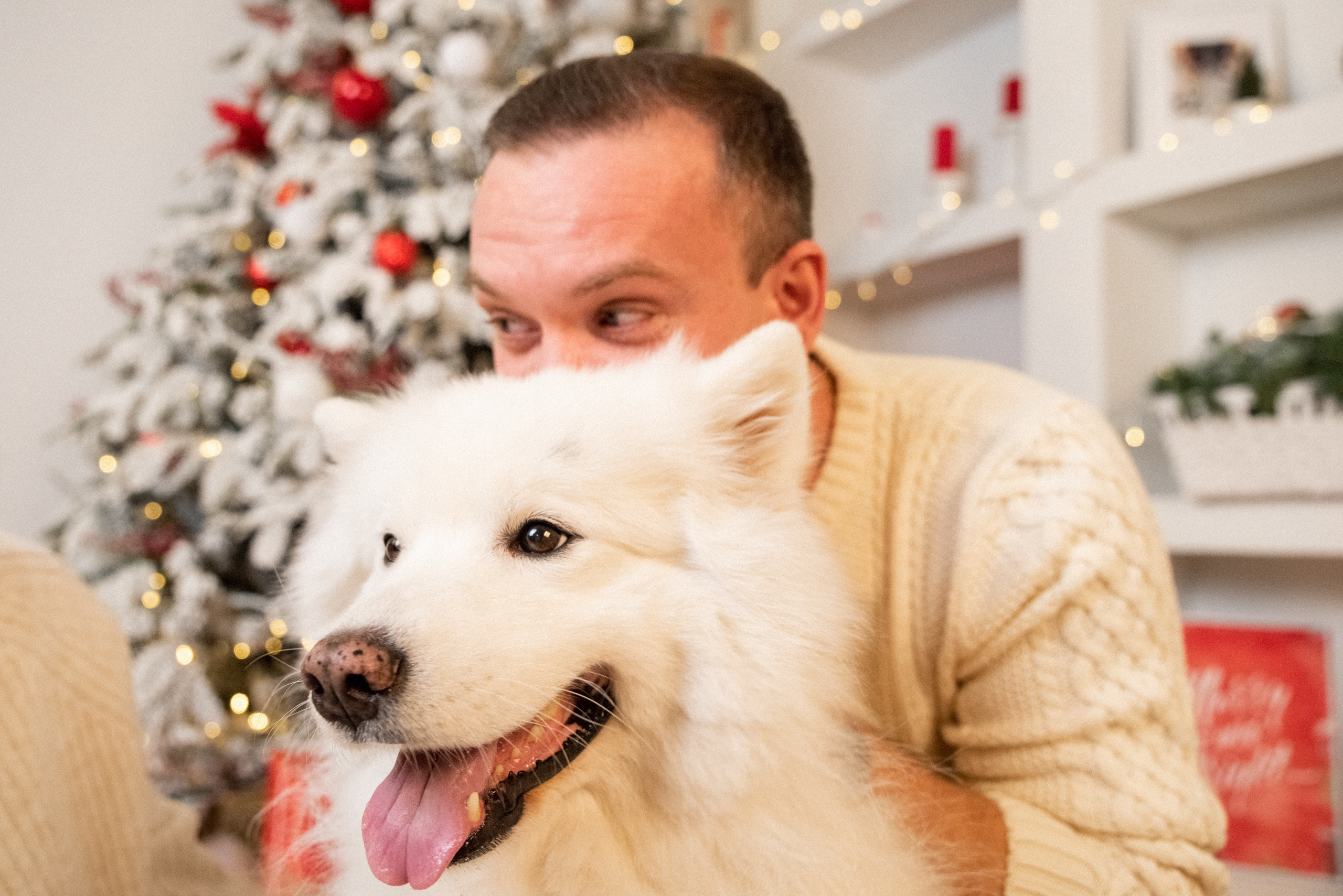 Лавстори с самоедом Бариком в Красноярске