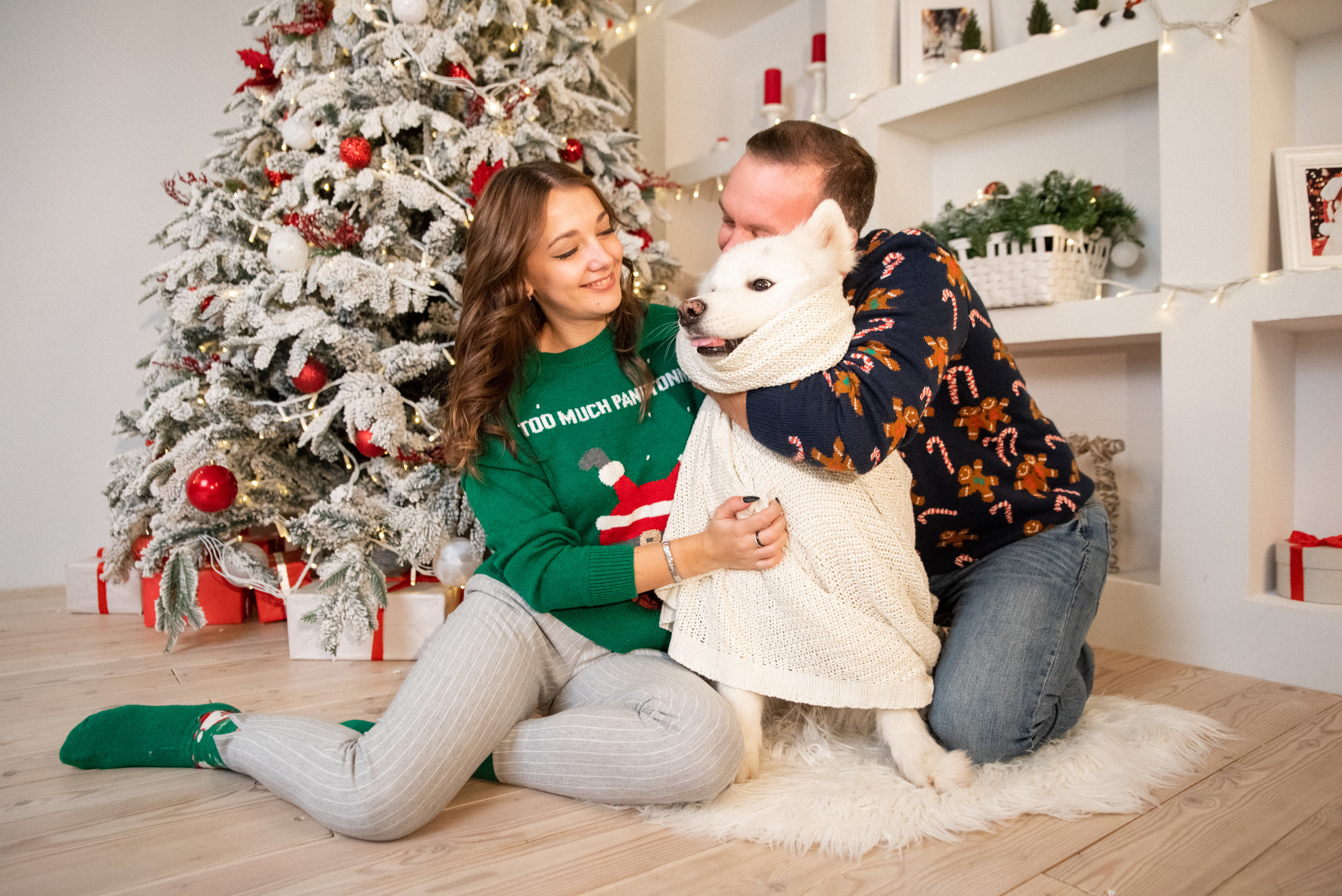 Лавстори с самоедом Бариком в Красноярске