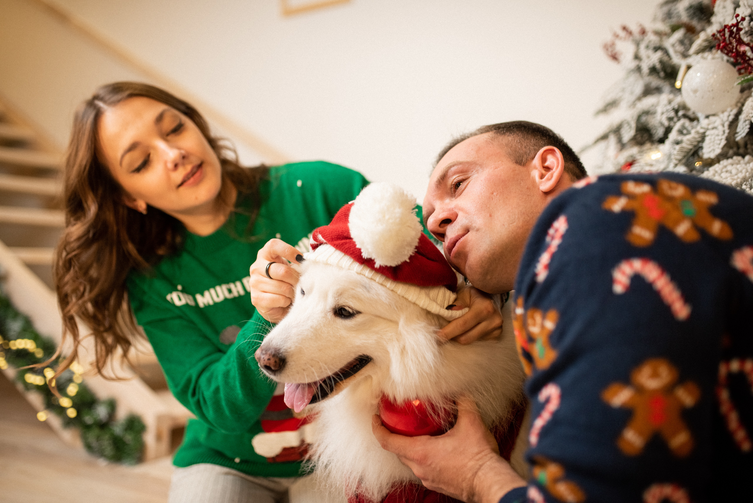 Лавстори с самоедом Бариком в Красноярске