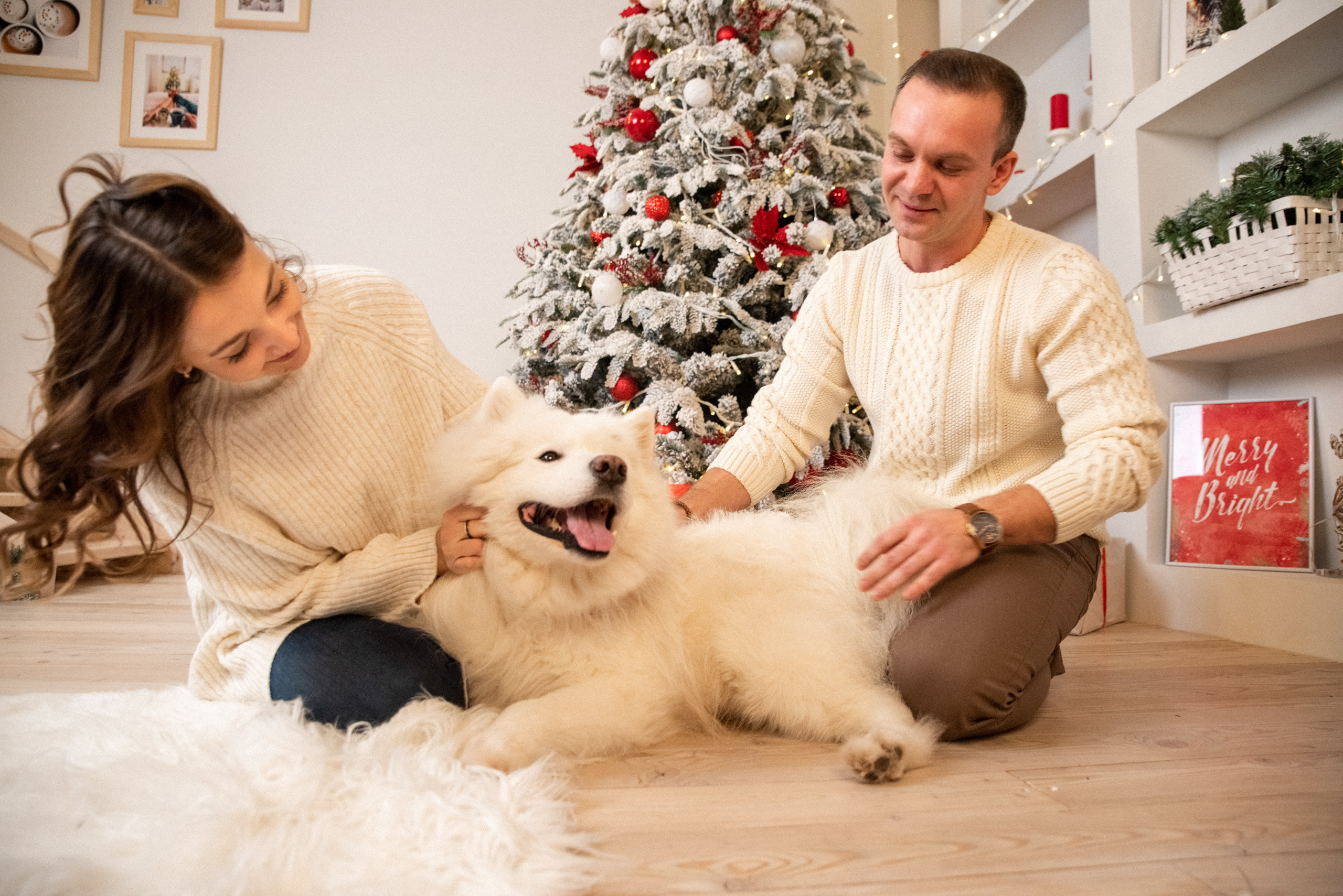 Лавстори с самоедом Бариком в Красноярске