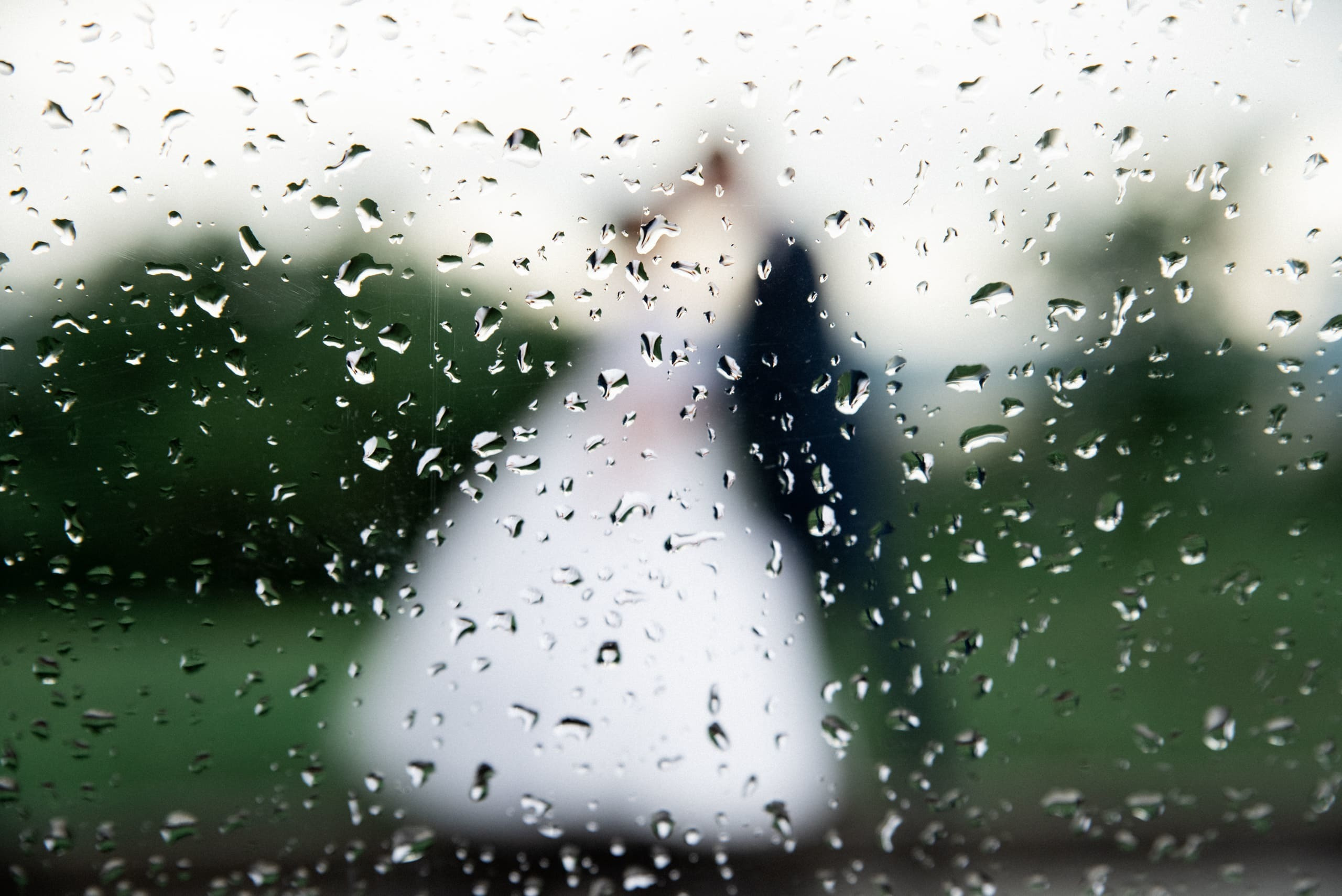 Свадьба Алексея и Дарьи в Красноярске