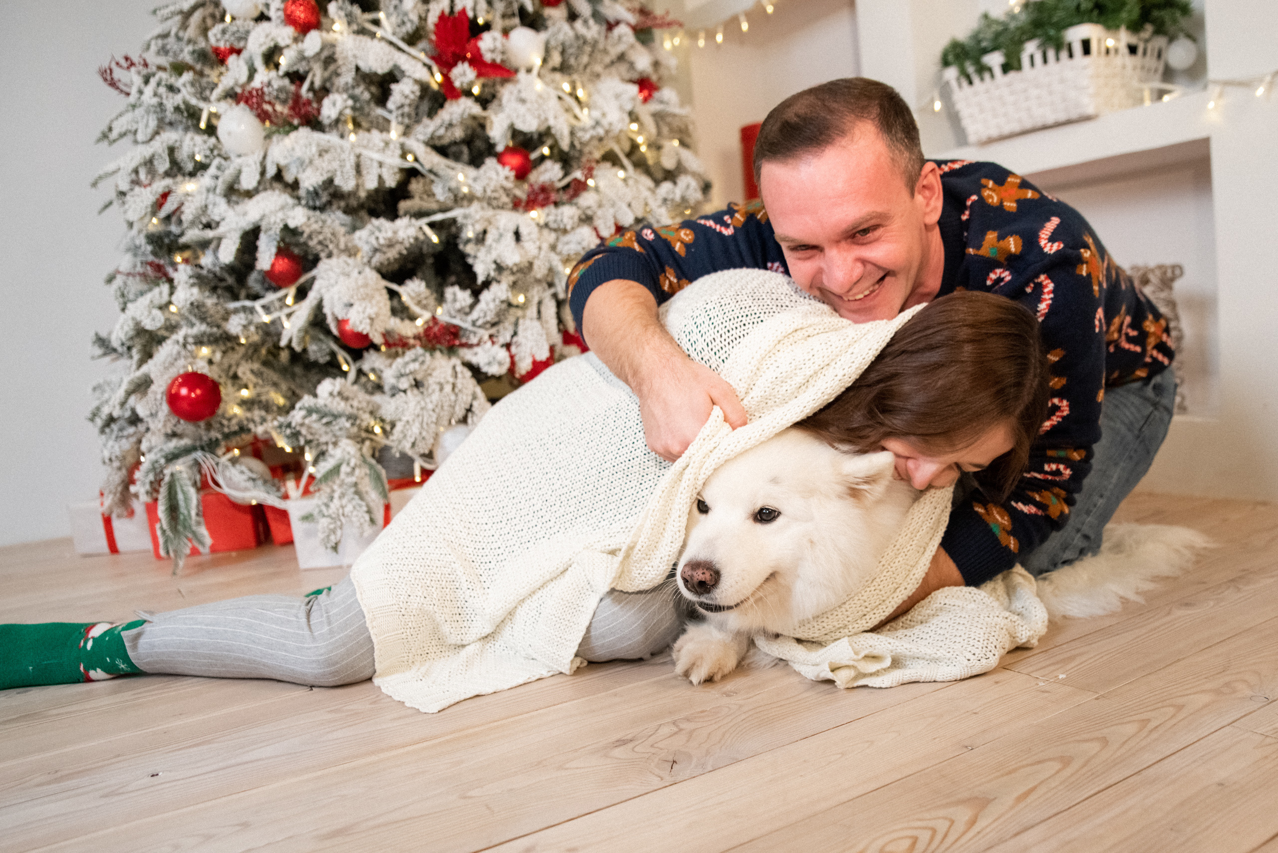 Лавстори с самоедом Бариком в Красноярске