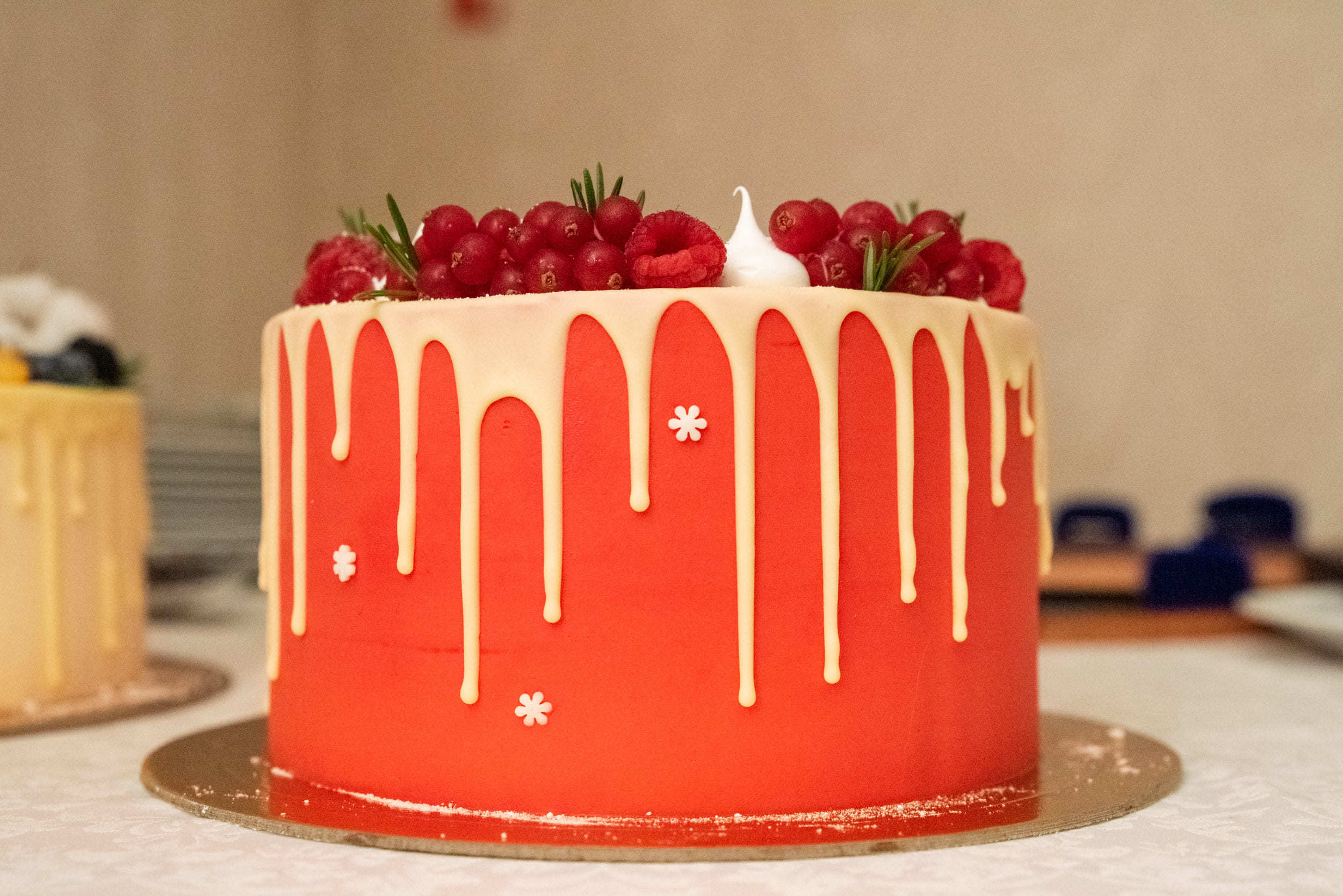 Репортажные фото Протект 7 в Красноярске