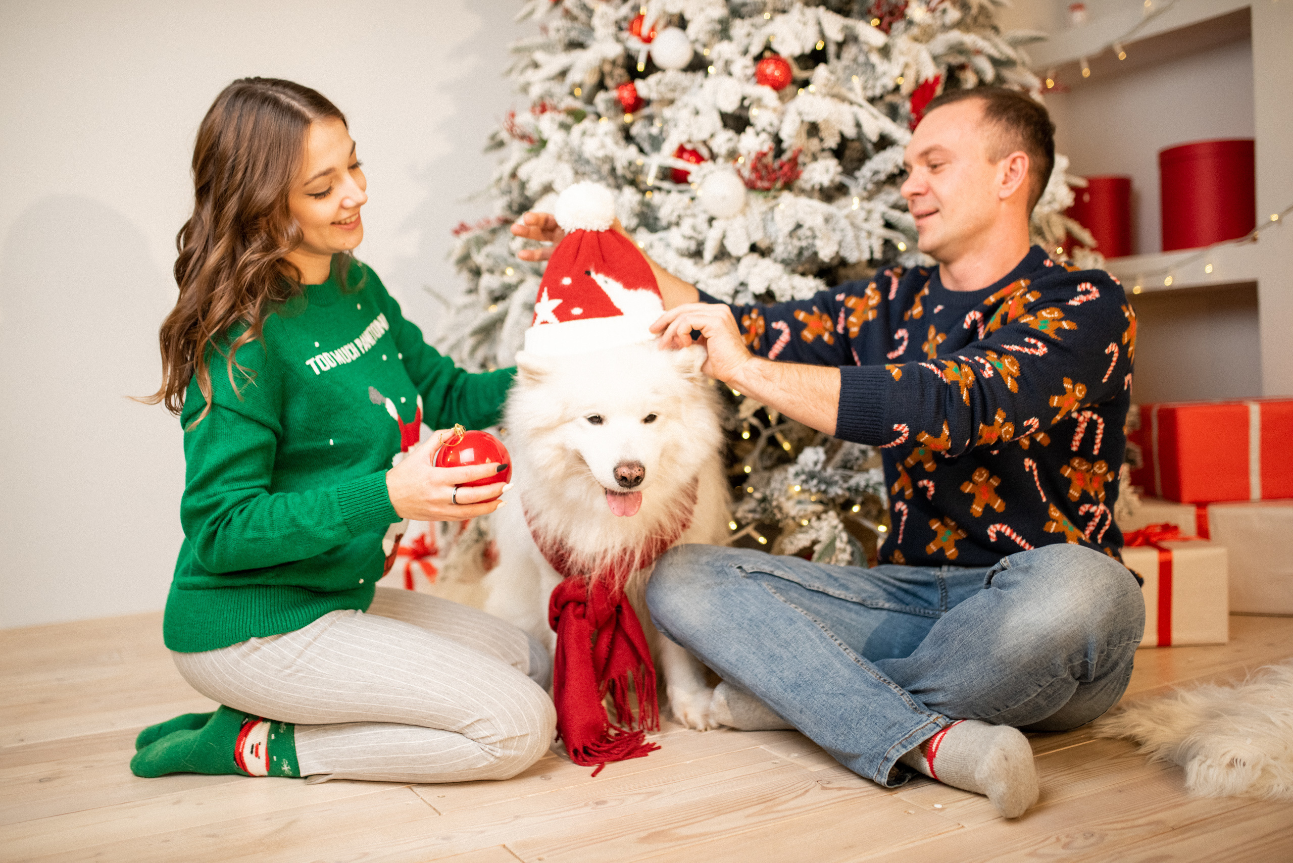 Лавстори с самоедом Бариком в Красноярске