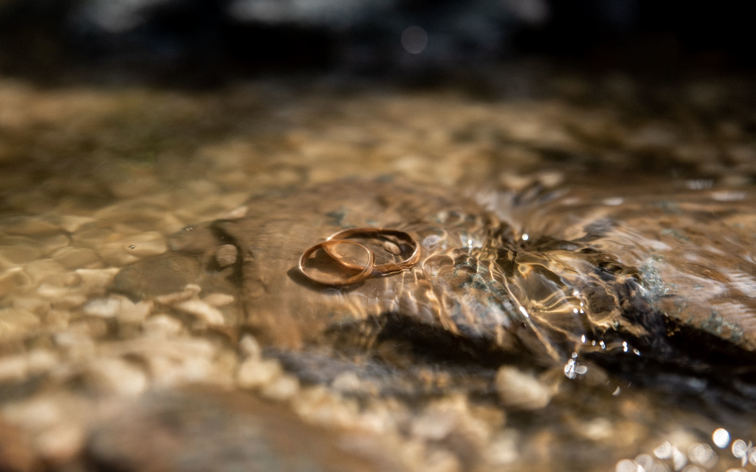 Свадьба Алексея и Дарьи в Красноярске