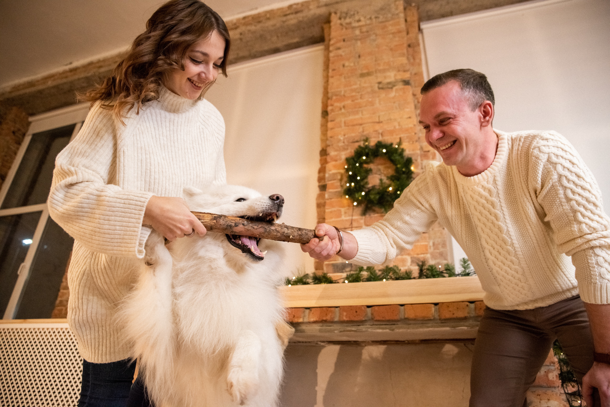 Лавстори с самоедом Бариком в Красноярске