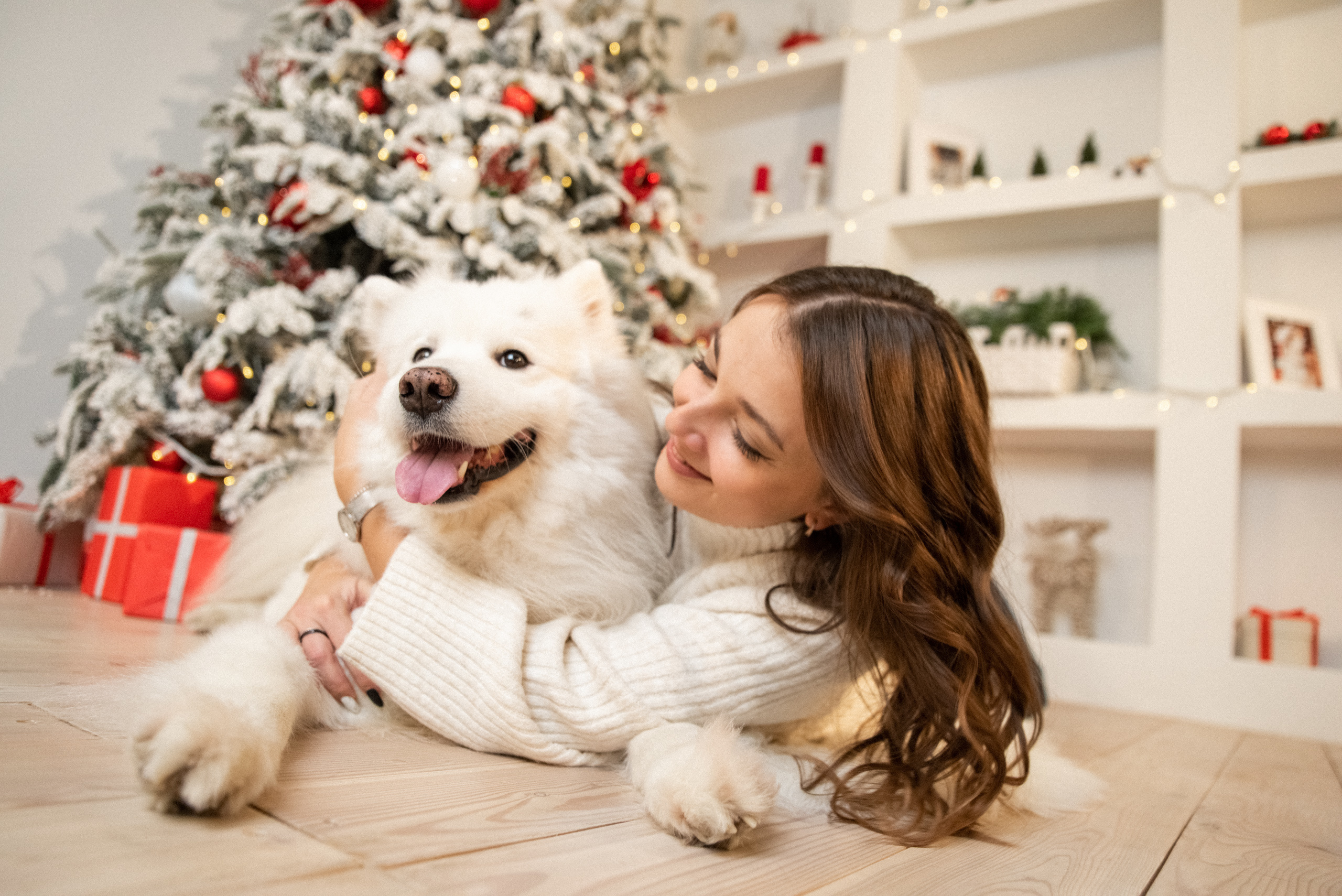 Лавстори с самоедом Бариком в Красноярске