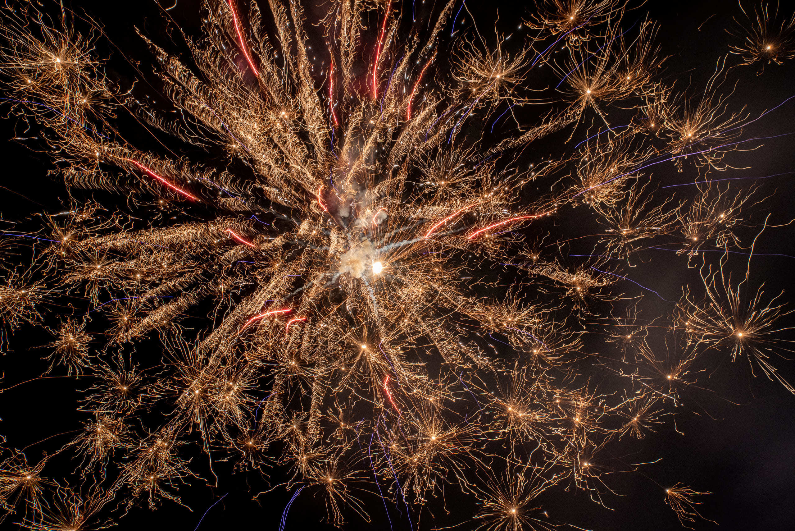 Свадьба Владимира и Татьяны в Красноярске