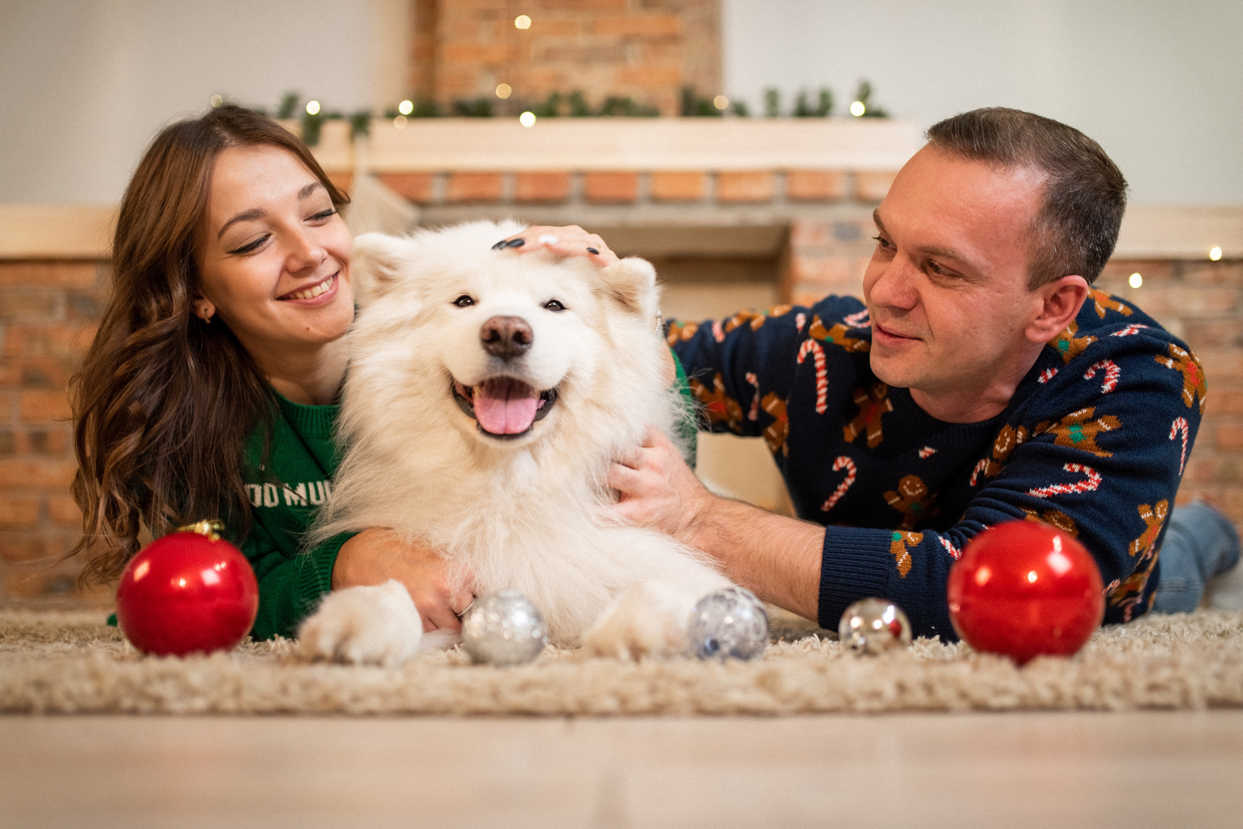 Лавстори с самоедом Бариком в Красноярске