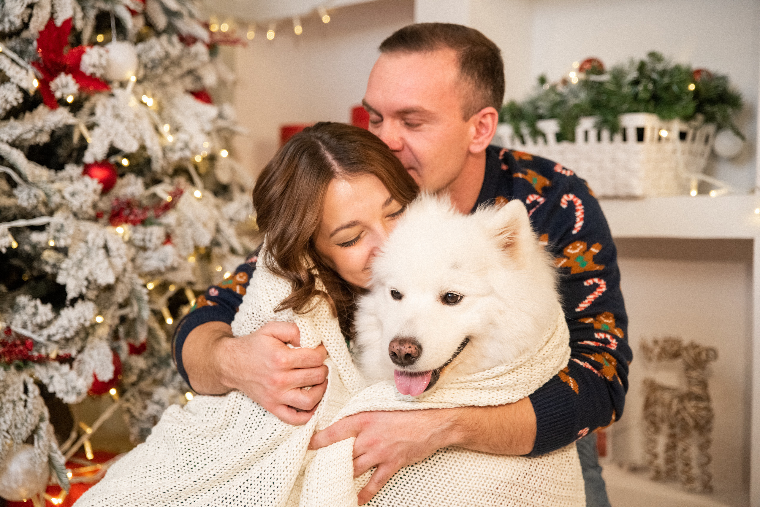 Лавстори с самоедом Бариком в Красноярске