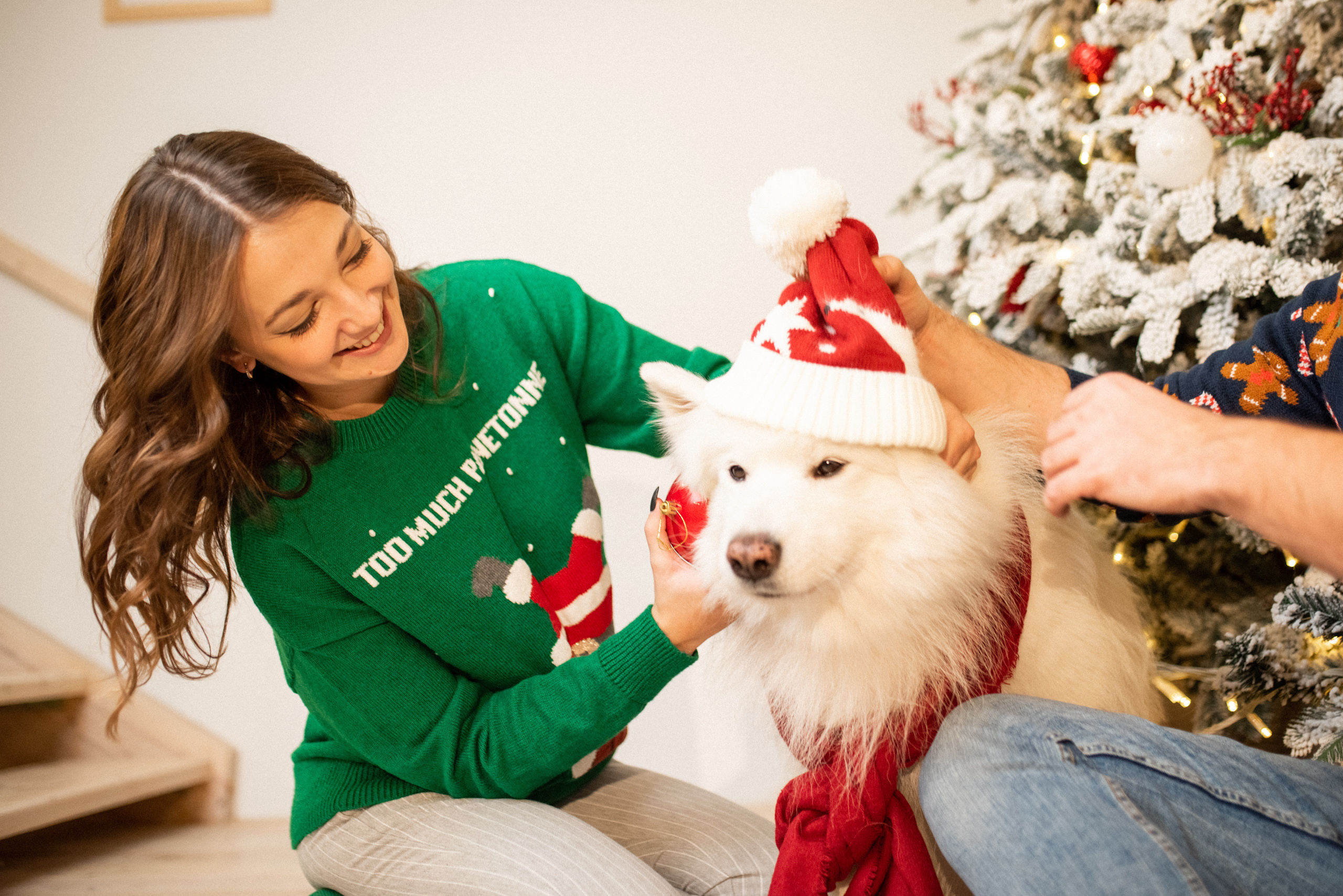 Лавстори с самоедом Бариком в Красноярске