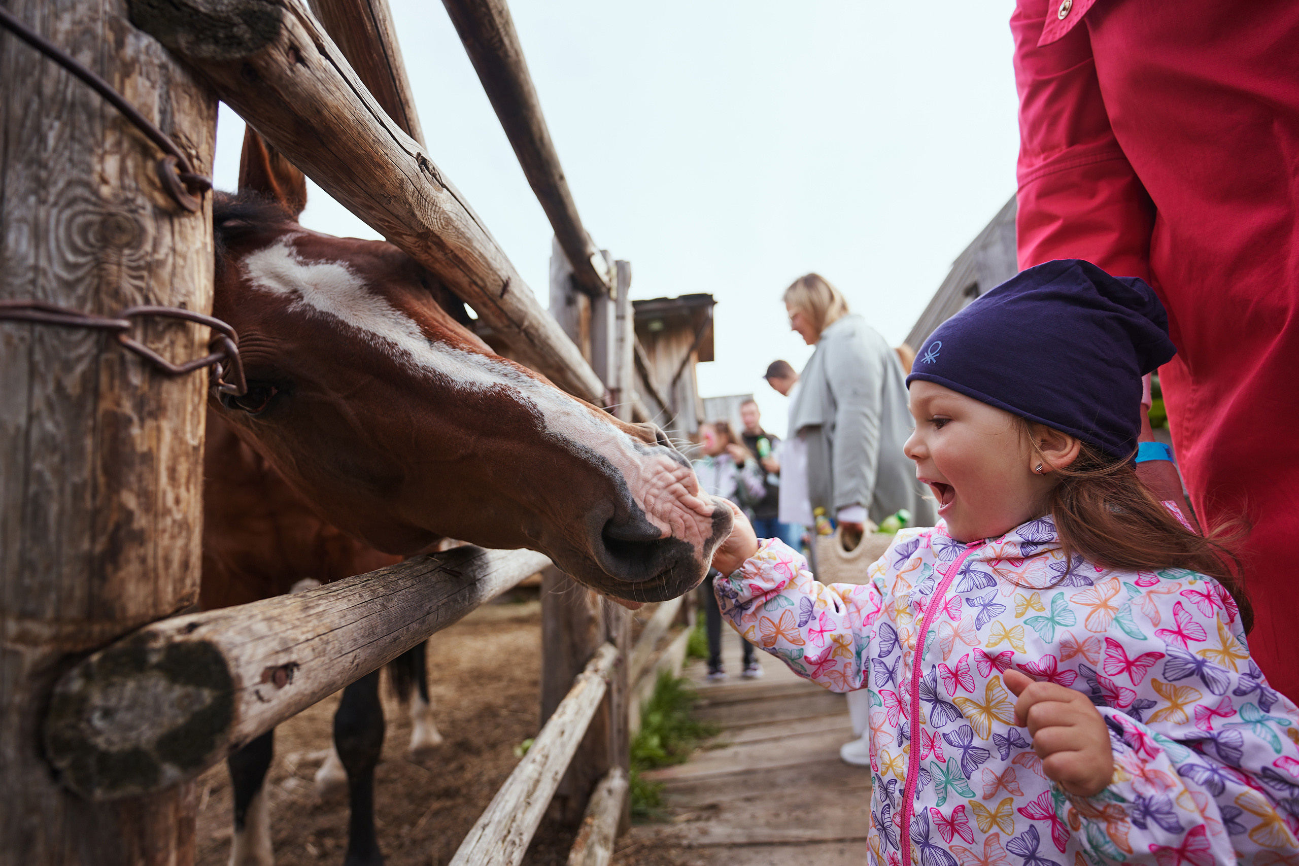Корпоратив на природе. Фотограф Слава Кайгородов