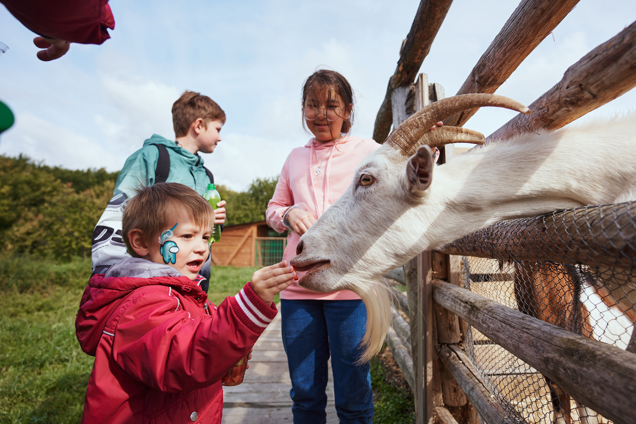 Корпоратив на природе. Фотограф Слава Кайгородов