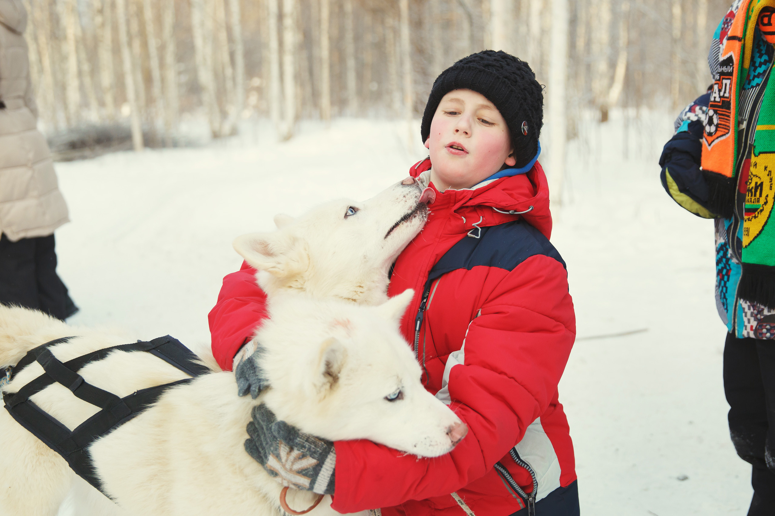Жизнь собачьего приюта. Фотограф Слава Кайгородов