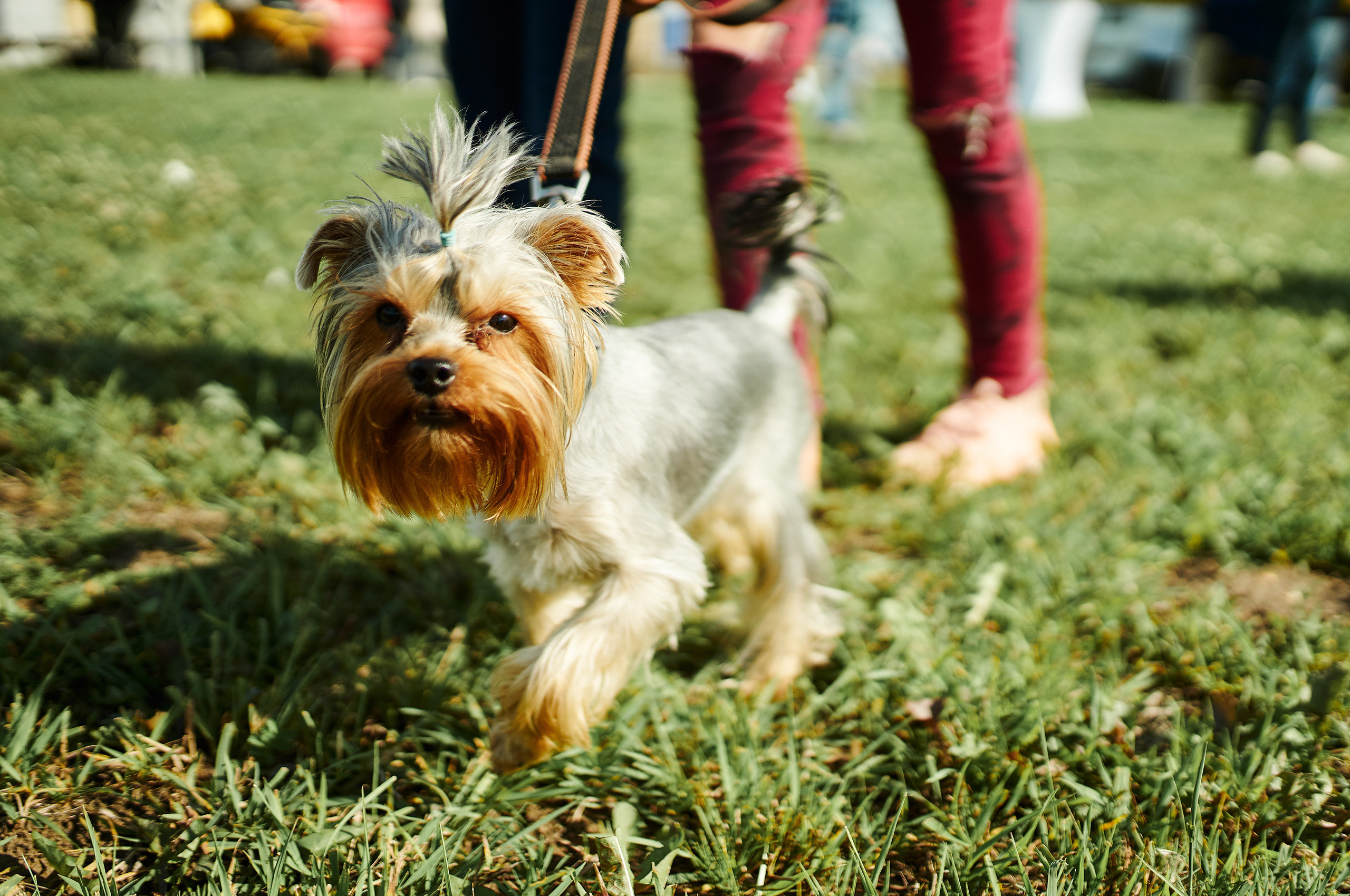 7 лет посёлку Александрия. Фотограф Слава Кайгородов