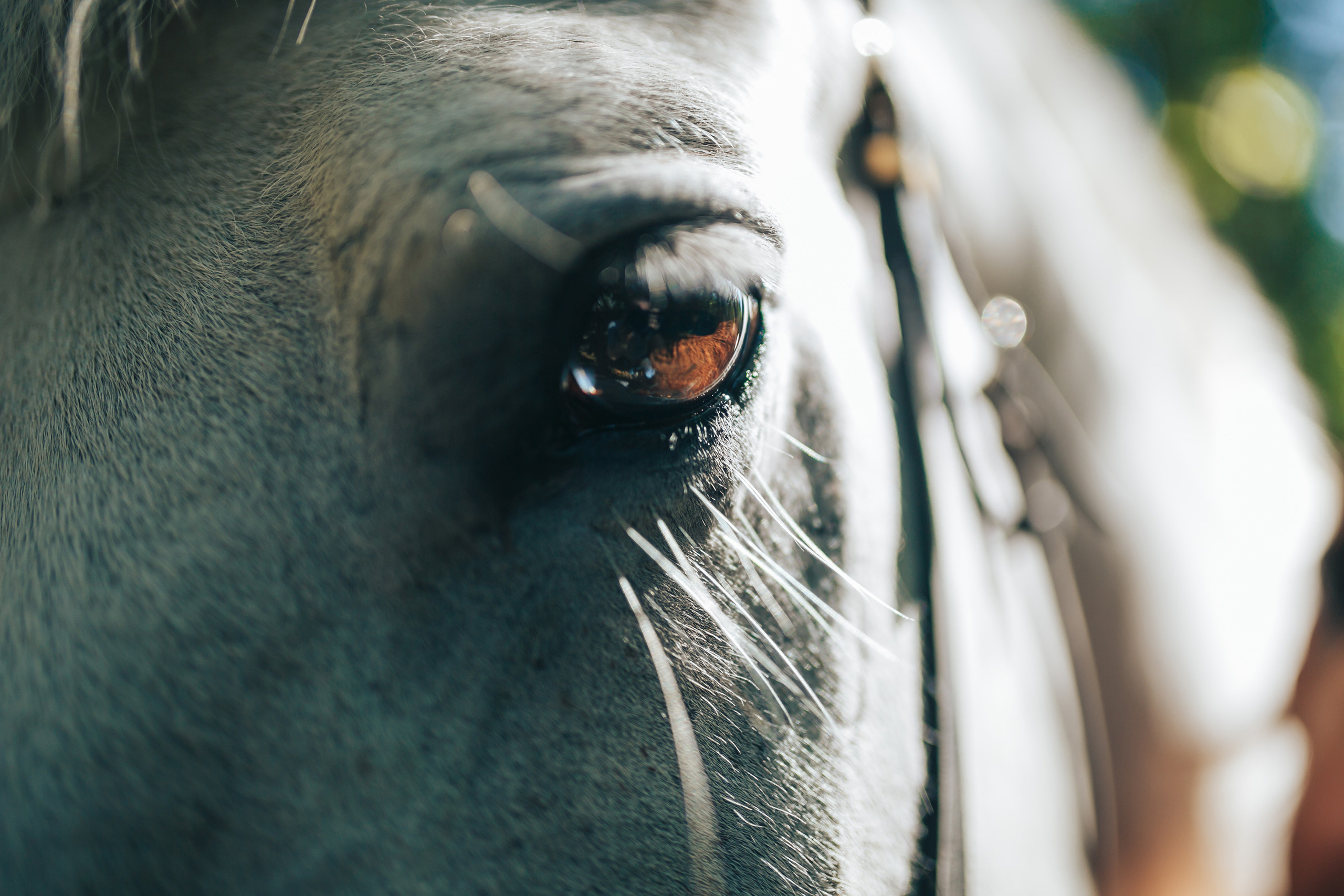 Когда мысли легки | Мария и Вадим. Фотограф Слава Кайгородов