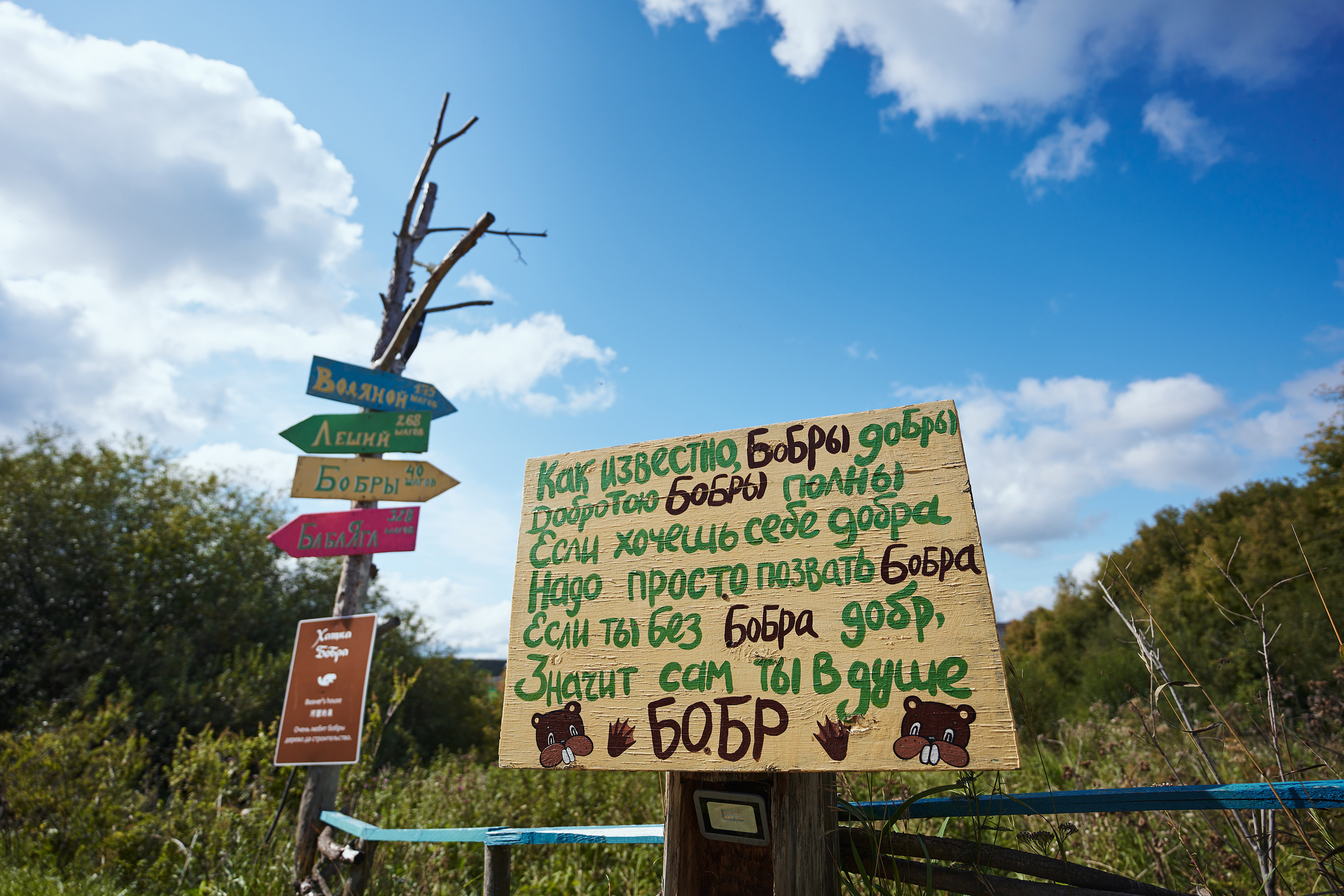 Корпоратив на природе. Фотограф Слава Кайгородов