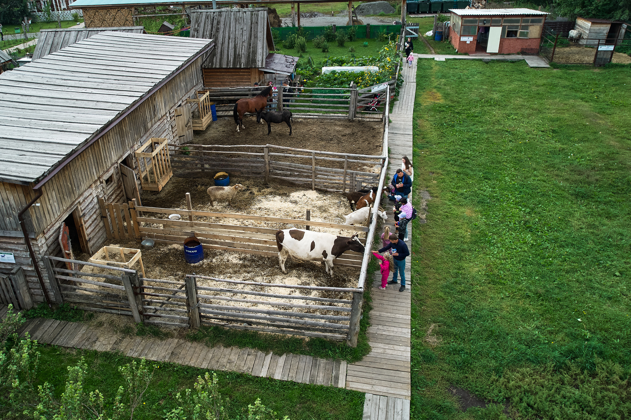 Корпоратив на природе. Фотограф Слава Кайгородов