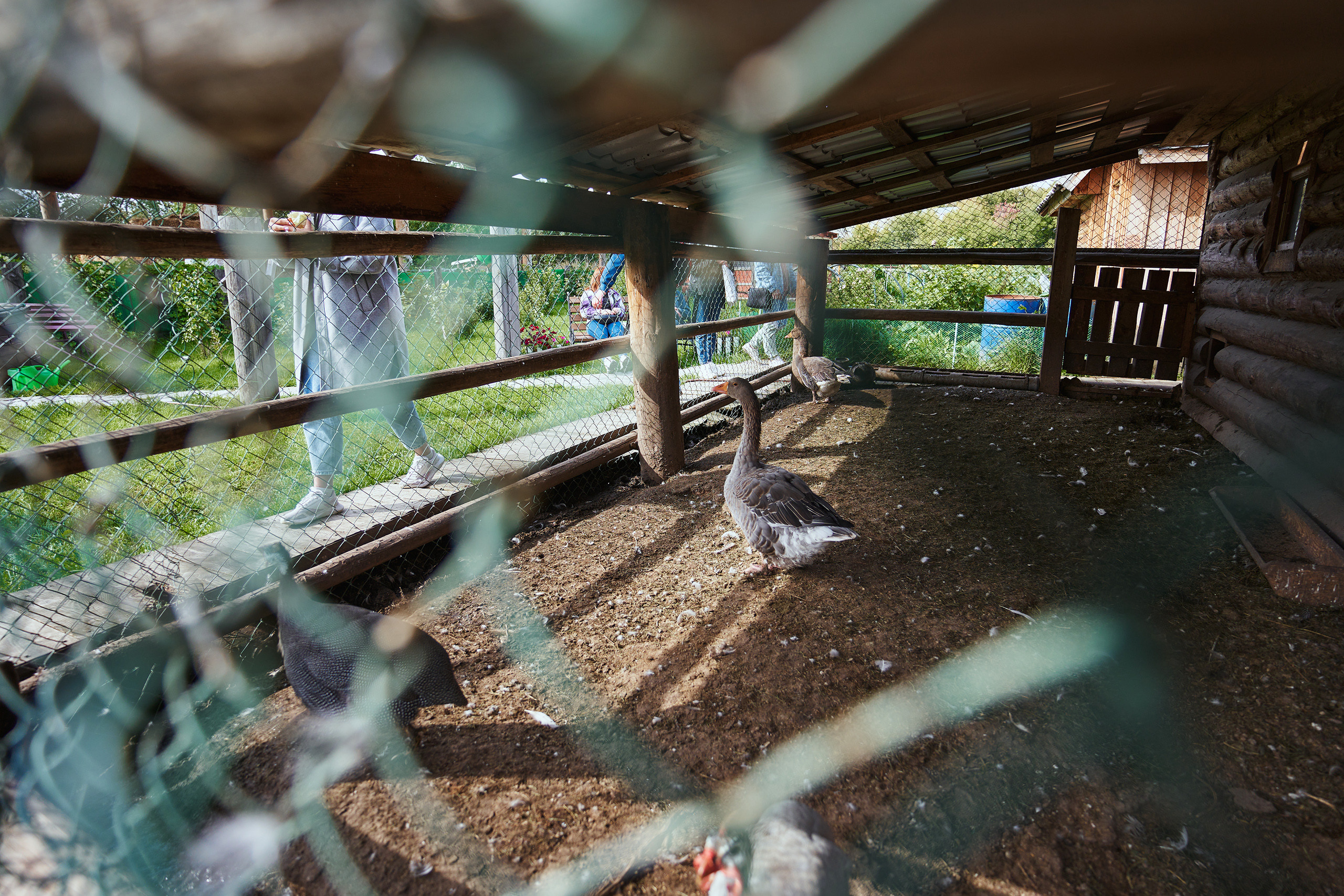 Корпоратив на природе. Фотограф Слава Кайгородов