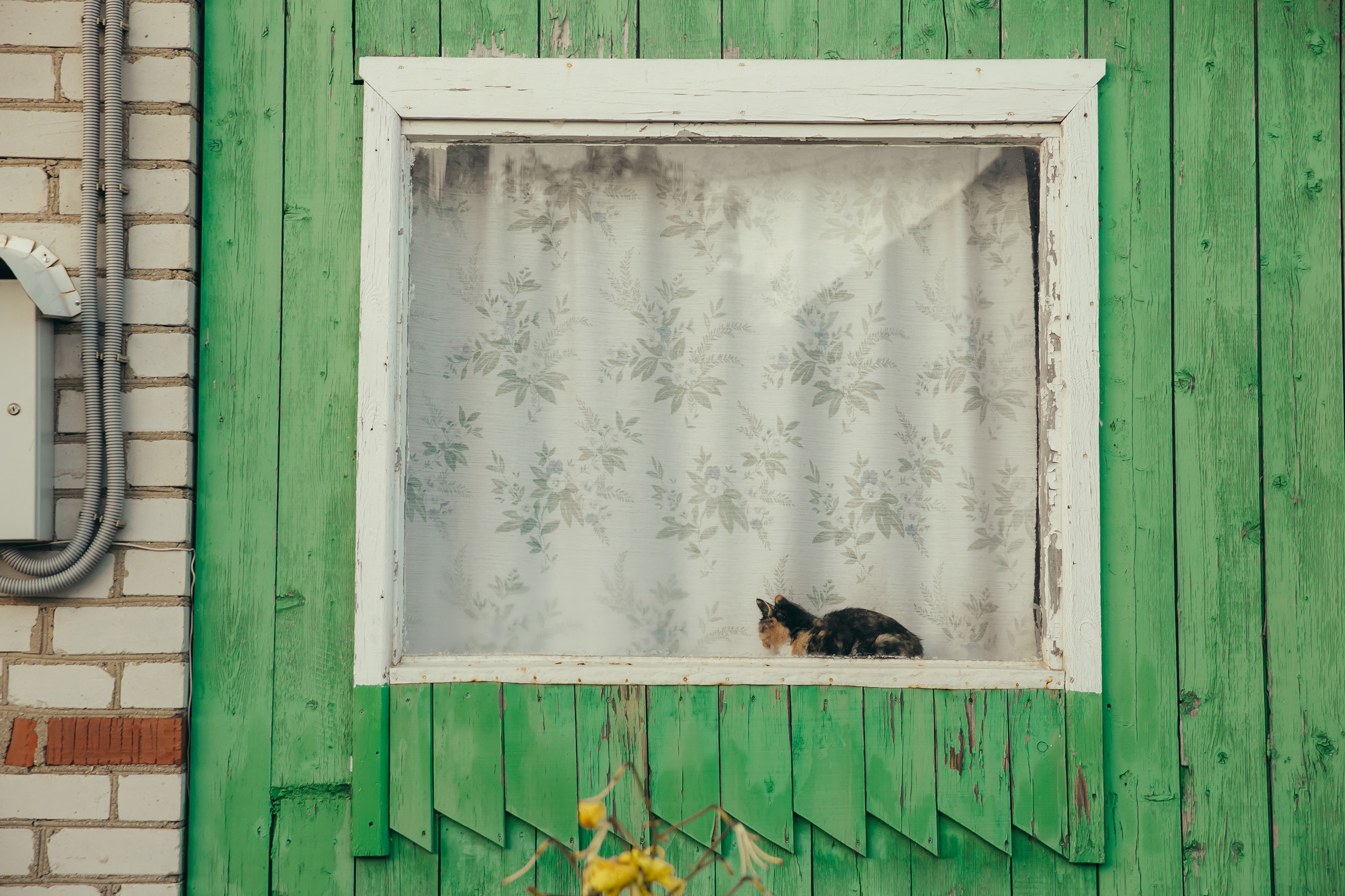 1 сентября в деревне. Фотограф Слава Кайгородов