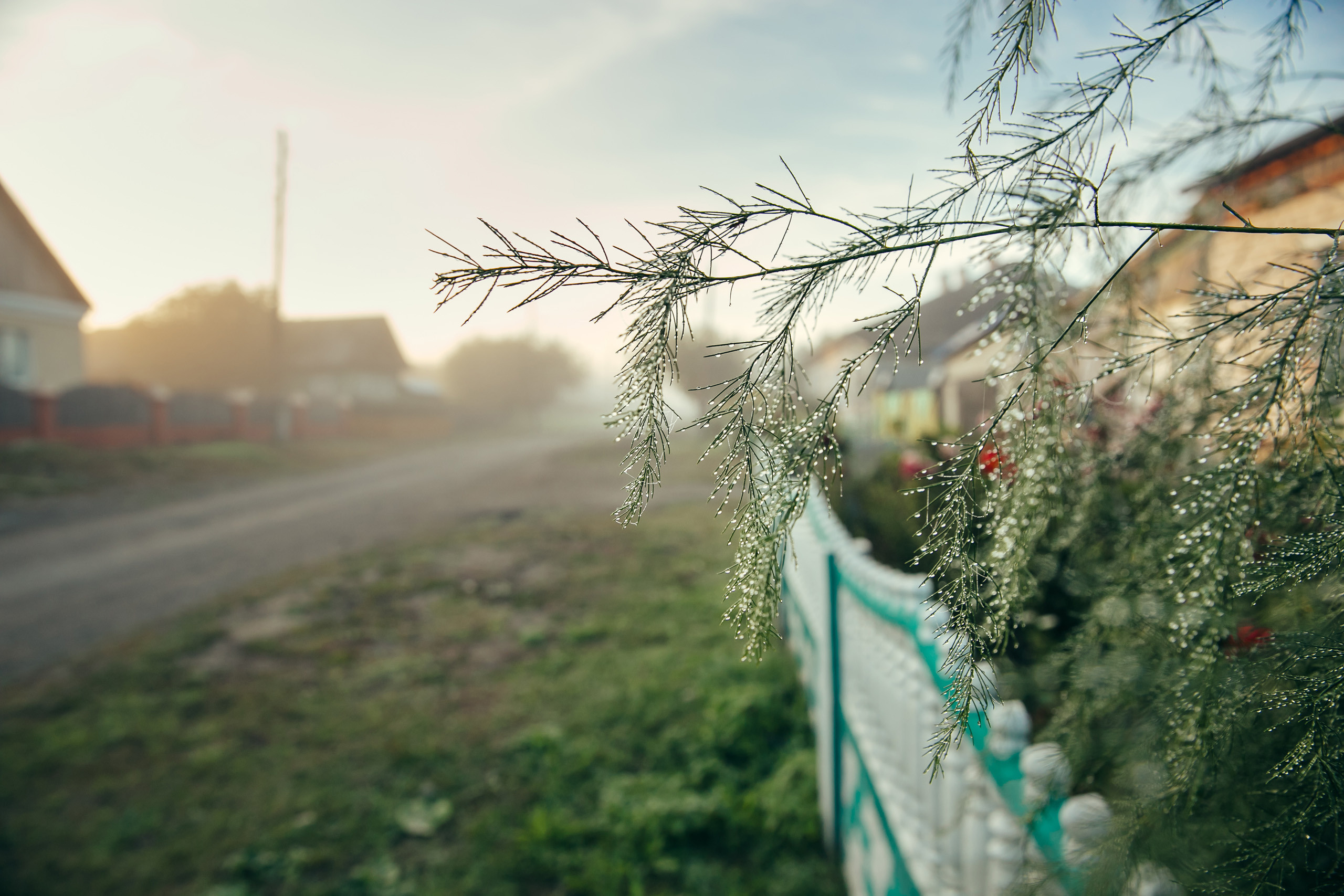 1 сентября в деревне. Фотограф Слава Кайгородов