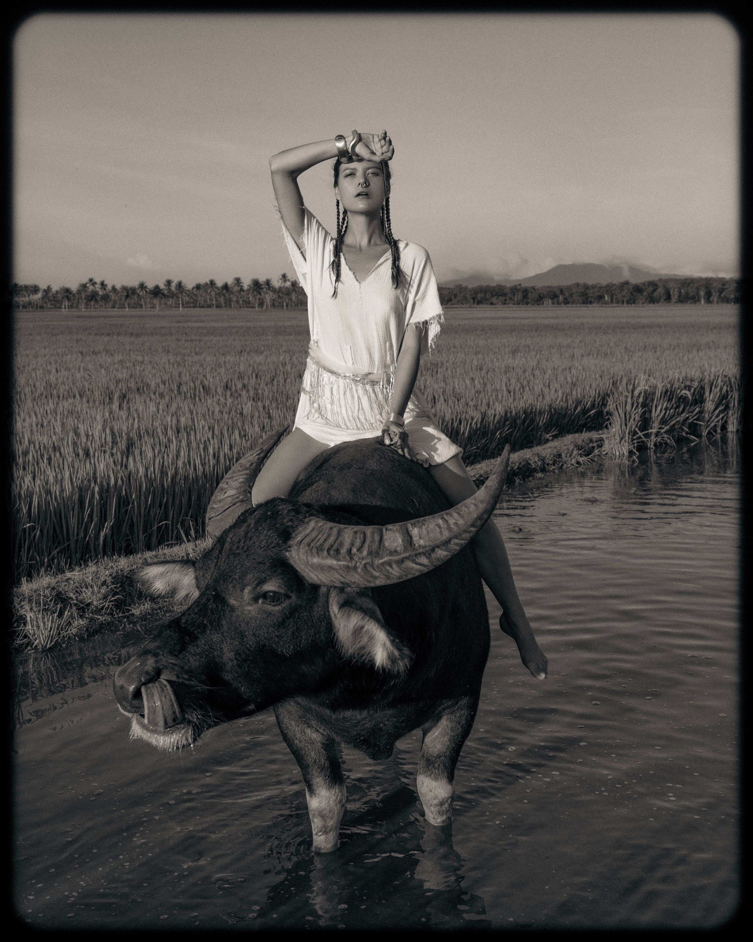 Фото портфолио. Камышная Юлия-фотограф, видеограф на острове Фукуок