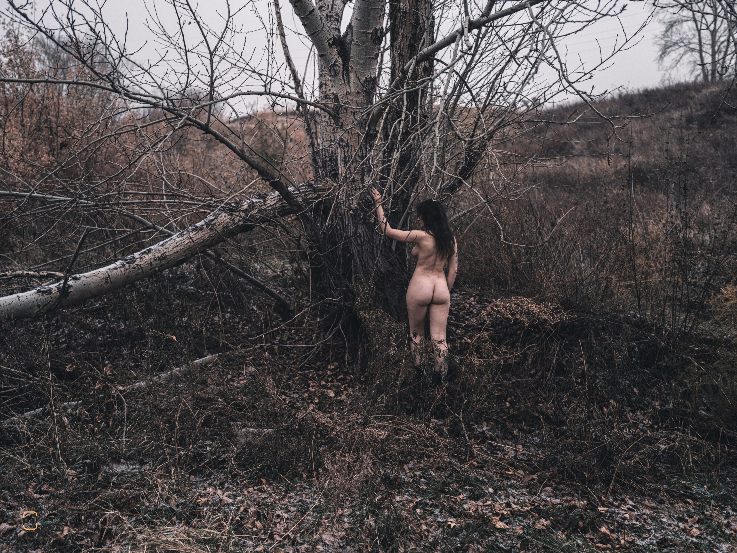 Цифровые снимки. Фотограф Павел Корчагин