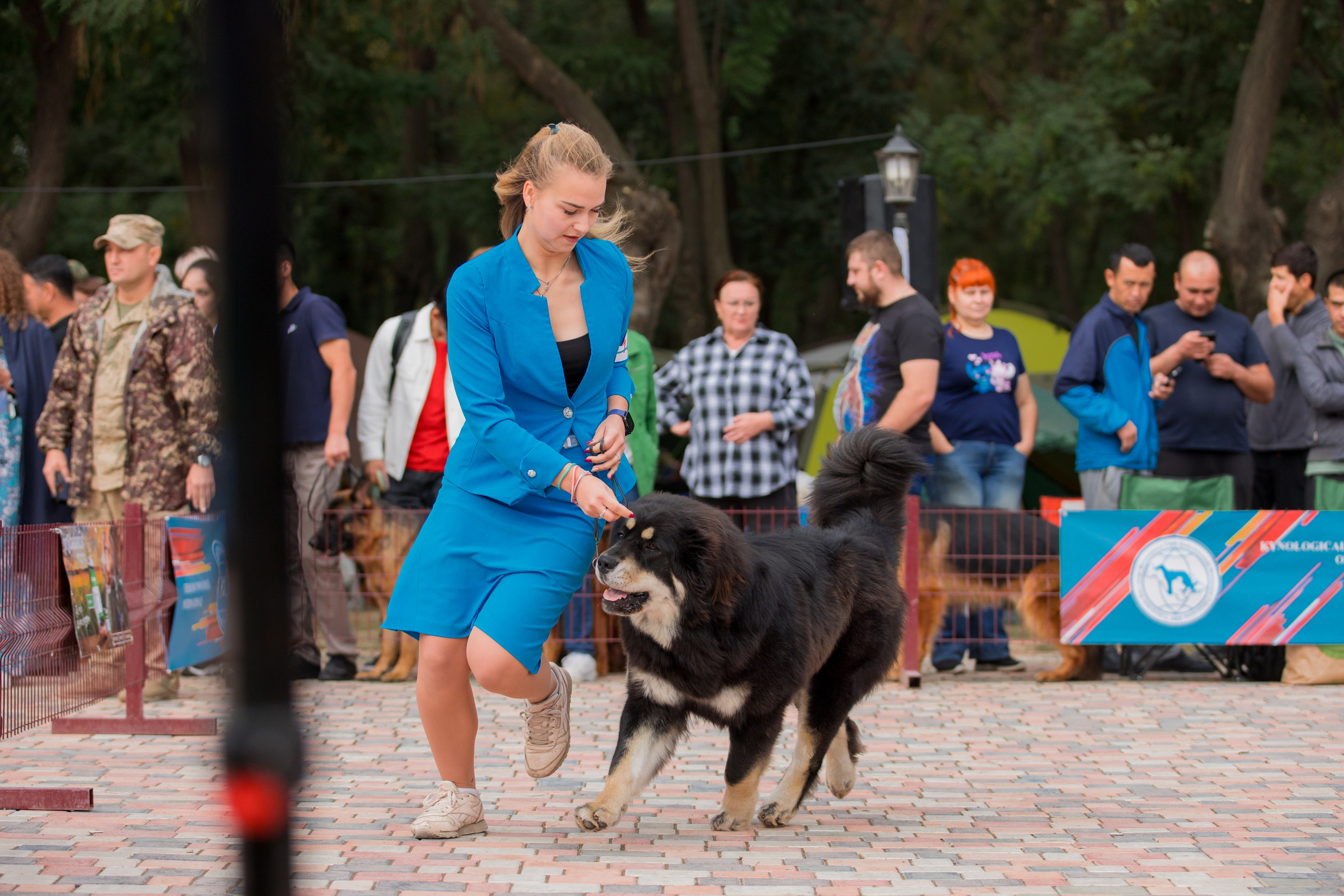 Ташкент 6-8.10.2023 + Алматы 14-15.10.2023. Фотограф-анималист Юлия Германика