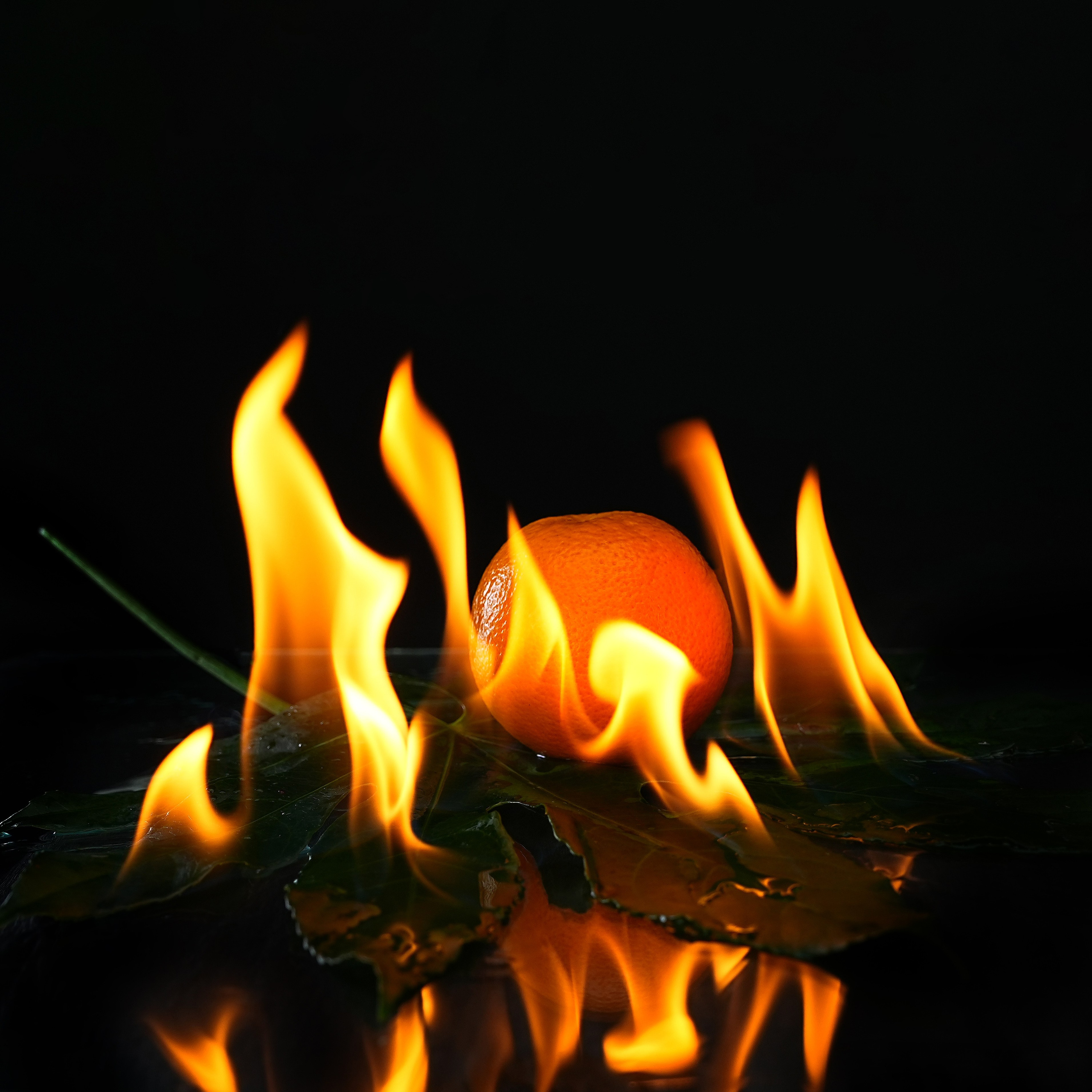 Предметная фотосъёмка. Фотограф, видеооператор Нина Коршунова