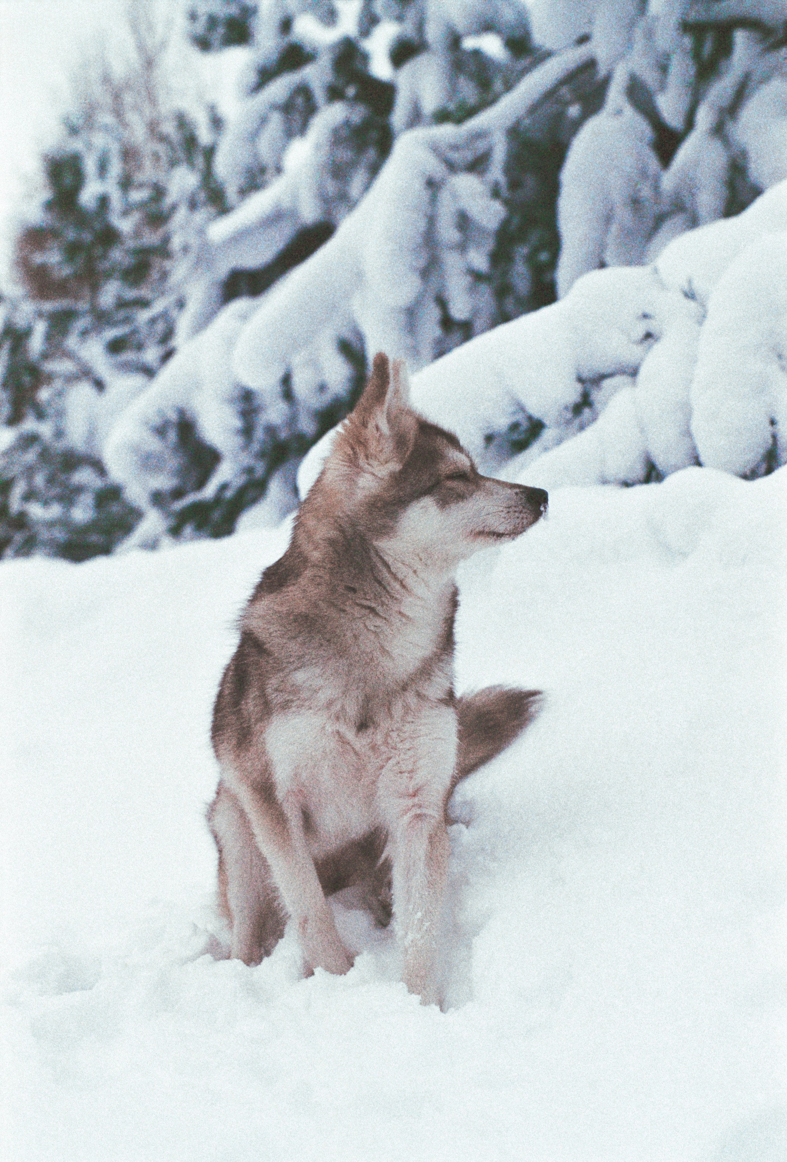 V2. Stylist and film photographer Anastasia Shlokova