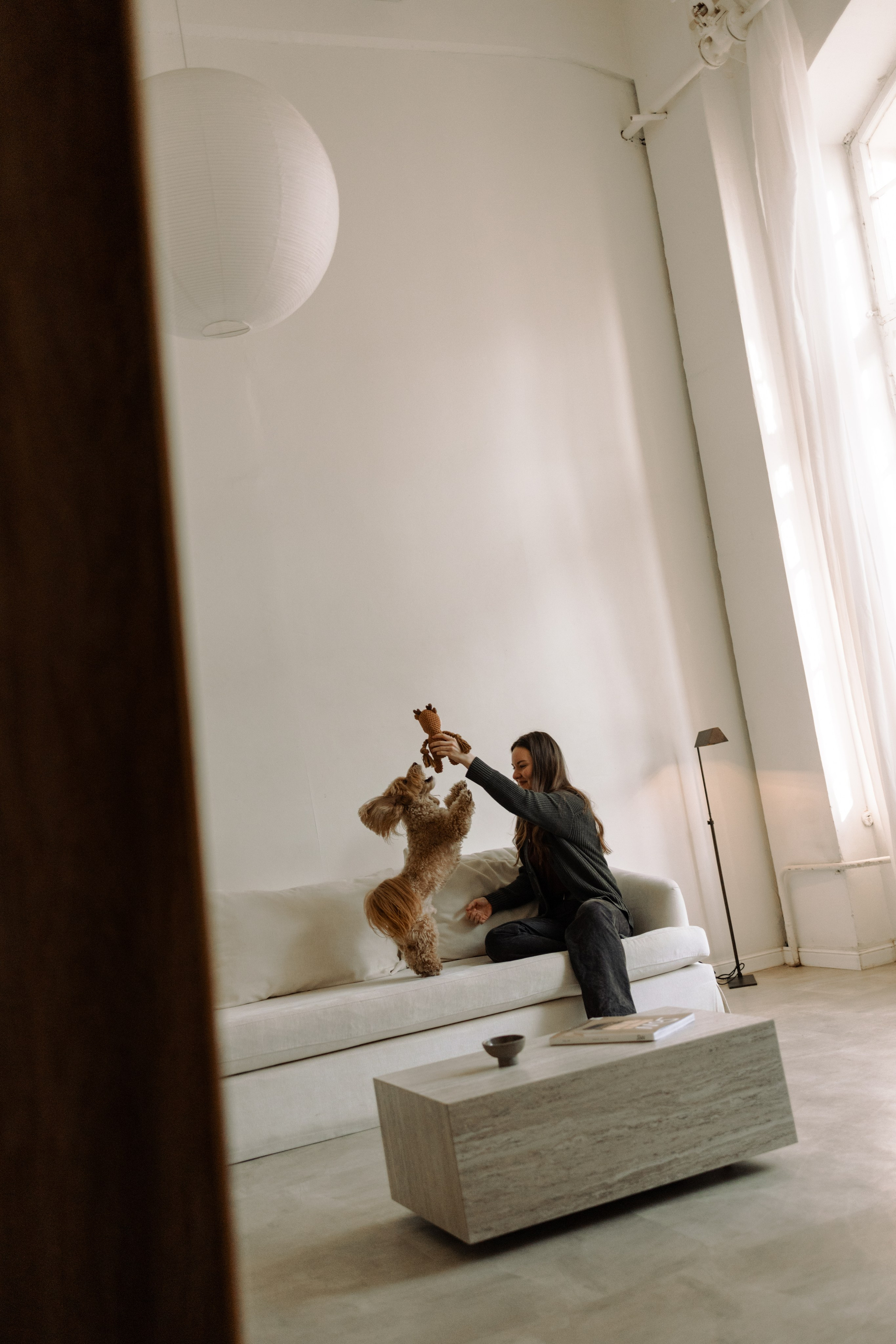 Шкипер и его семья. Фотограф — Анималист | Санкт-Петербург