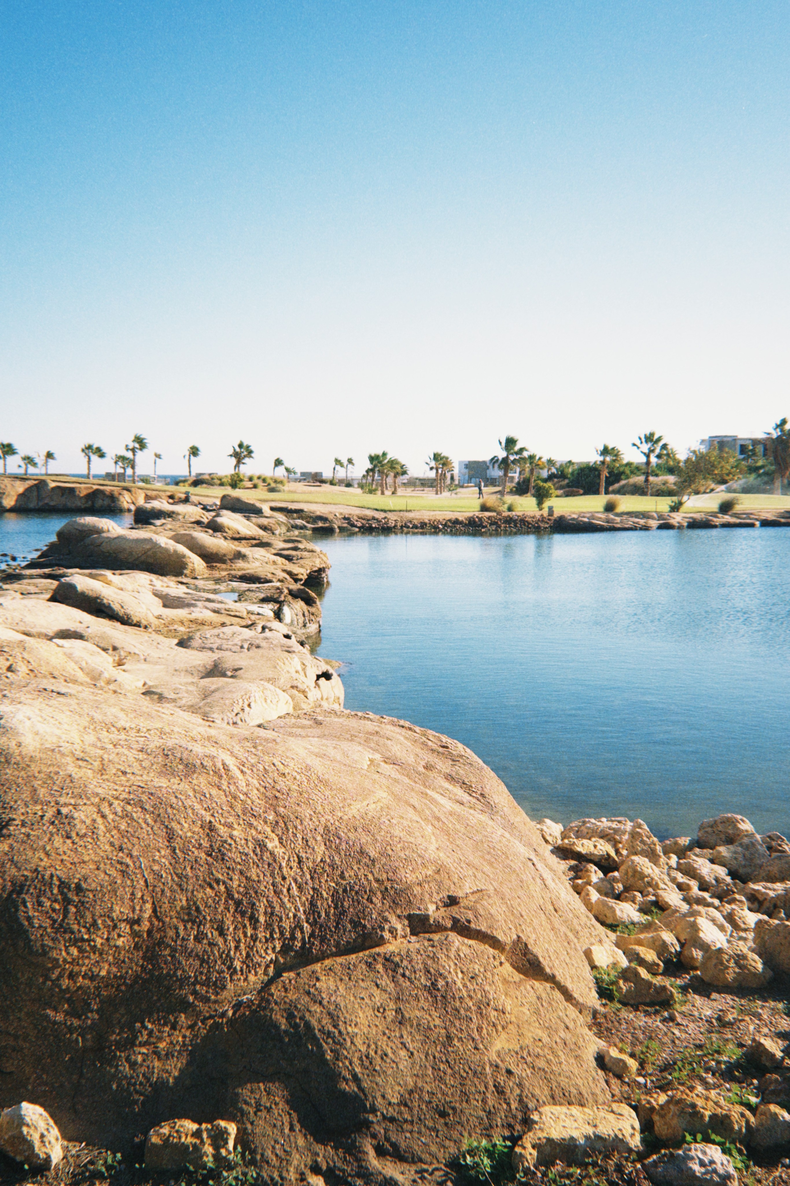 Данил колбасенко. Портфолио