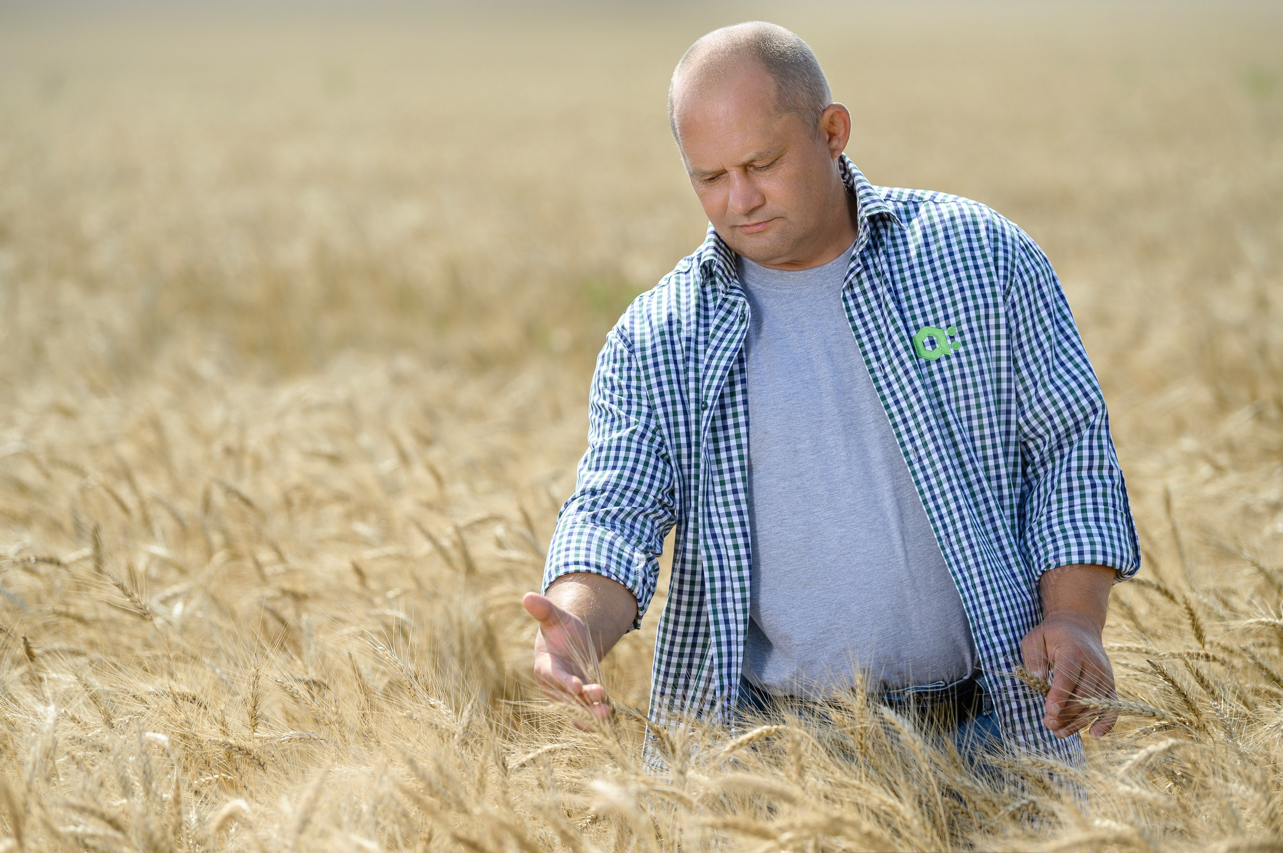 Проекты. Профессиональный фотограф Вячеслав Плацында | Липецк |