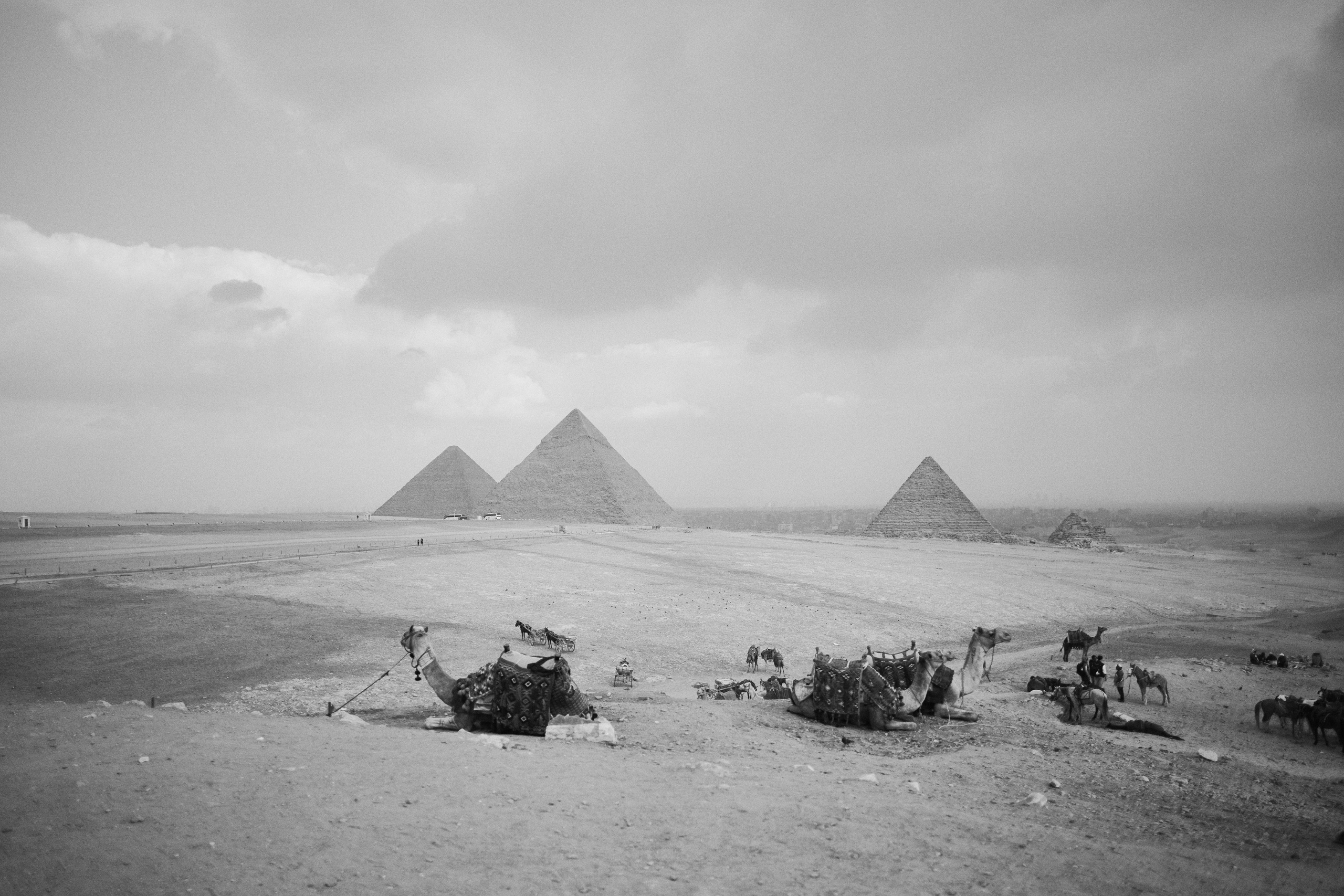 Другое 4. Jorgis — фотограф в Хургаде / обучение фотографии