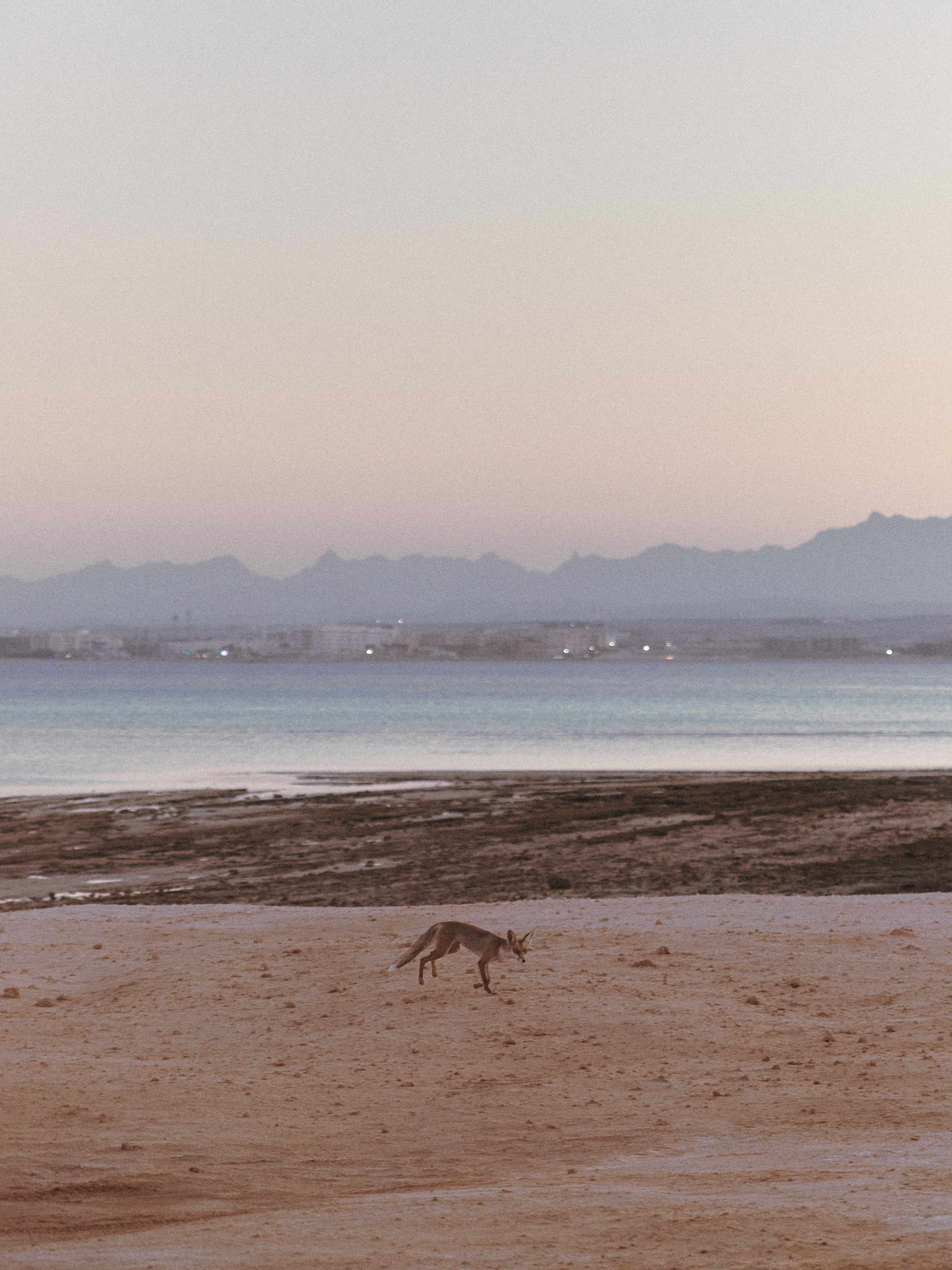 Диптих. Jorgis — фотограф в Хургаде / обучение фотографии
