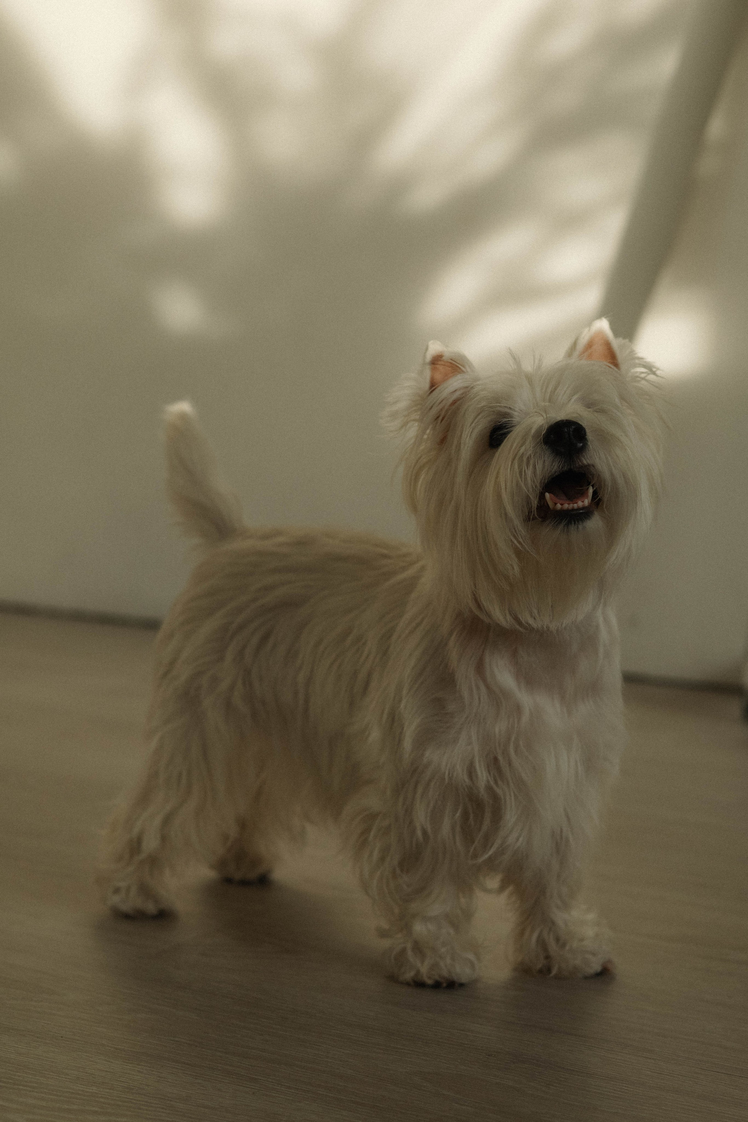 Семья Скрябиных. Семейный фотограф в Ижевске Даша Денисова