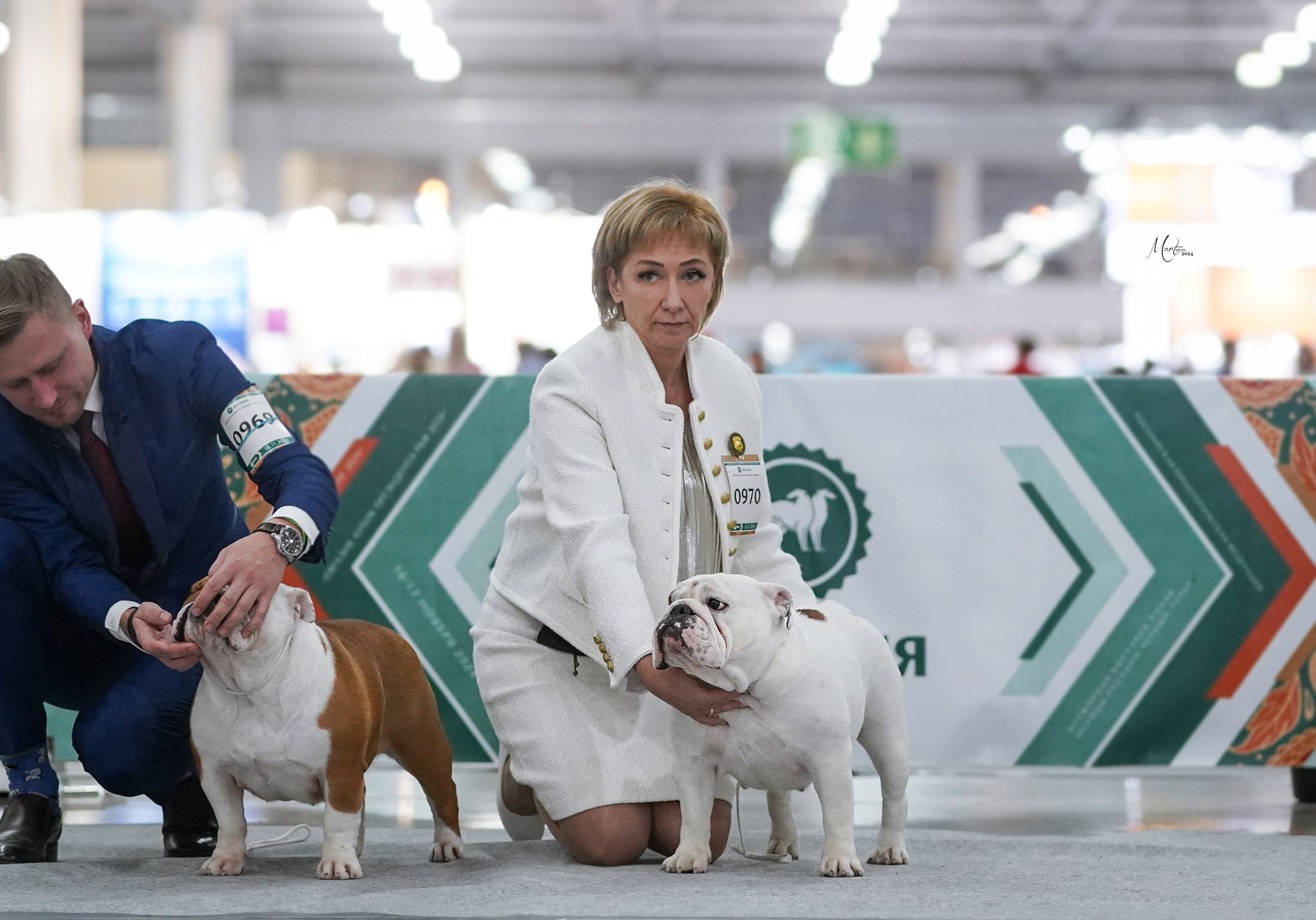 Выставки 2024. Фотограф-анималист в Санкт-Петербурге Яна Мартынова