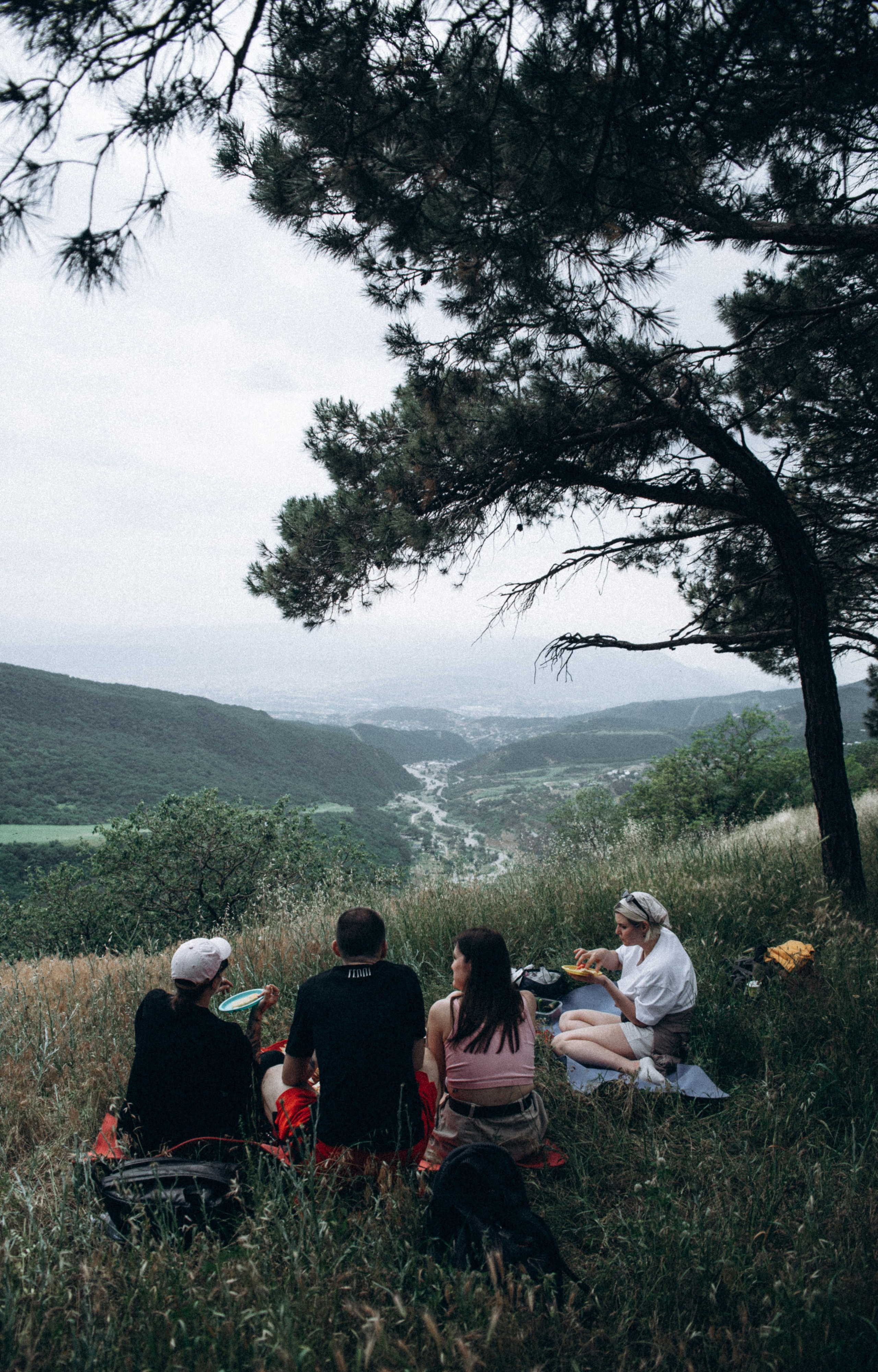 Медвежий приют, Мамкода, Грузия 🇬🇪 «Honey Trip». Anita_photo