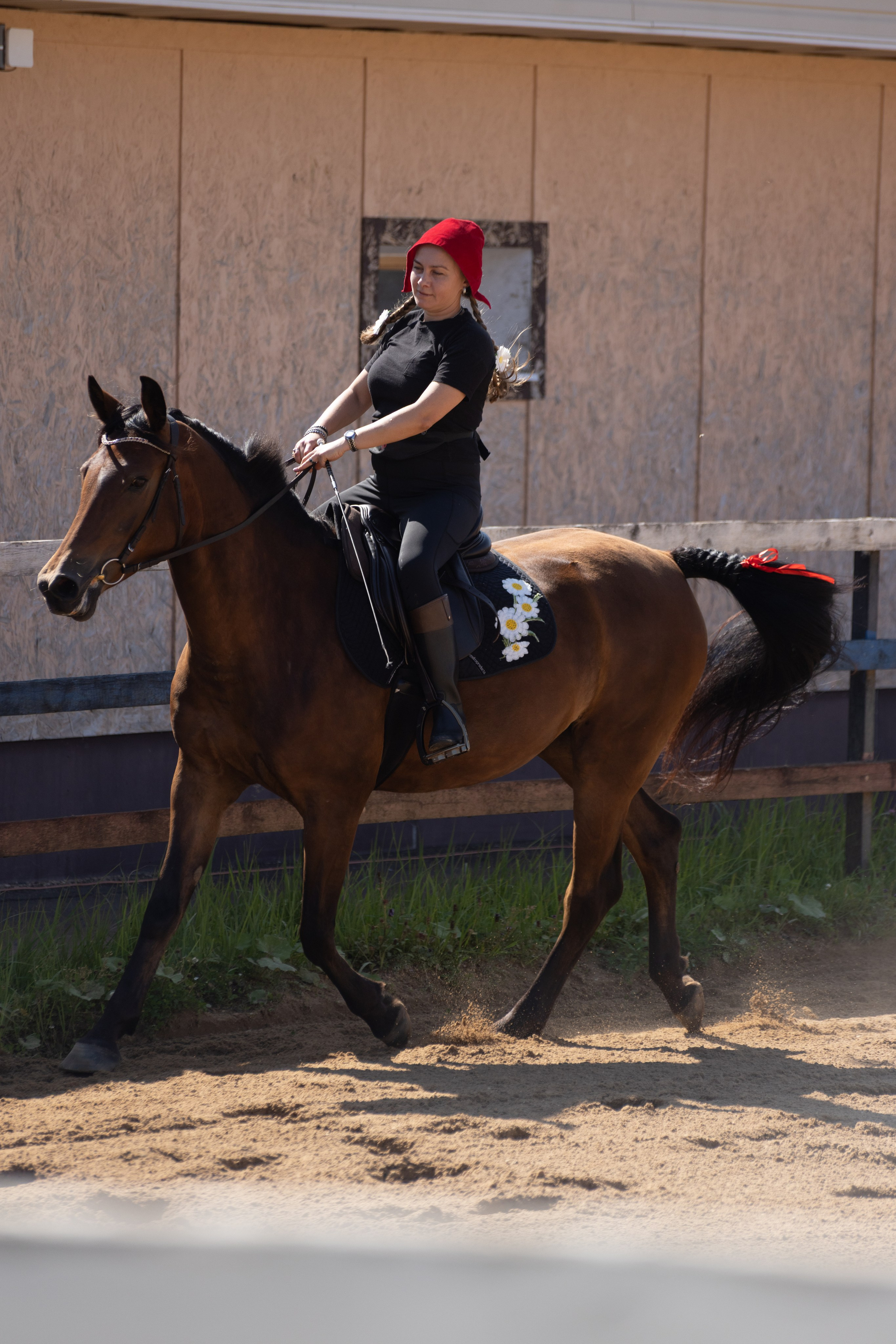 Конюшня. Фотограф в Москве и Истре