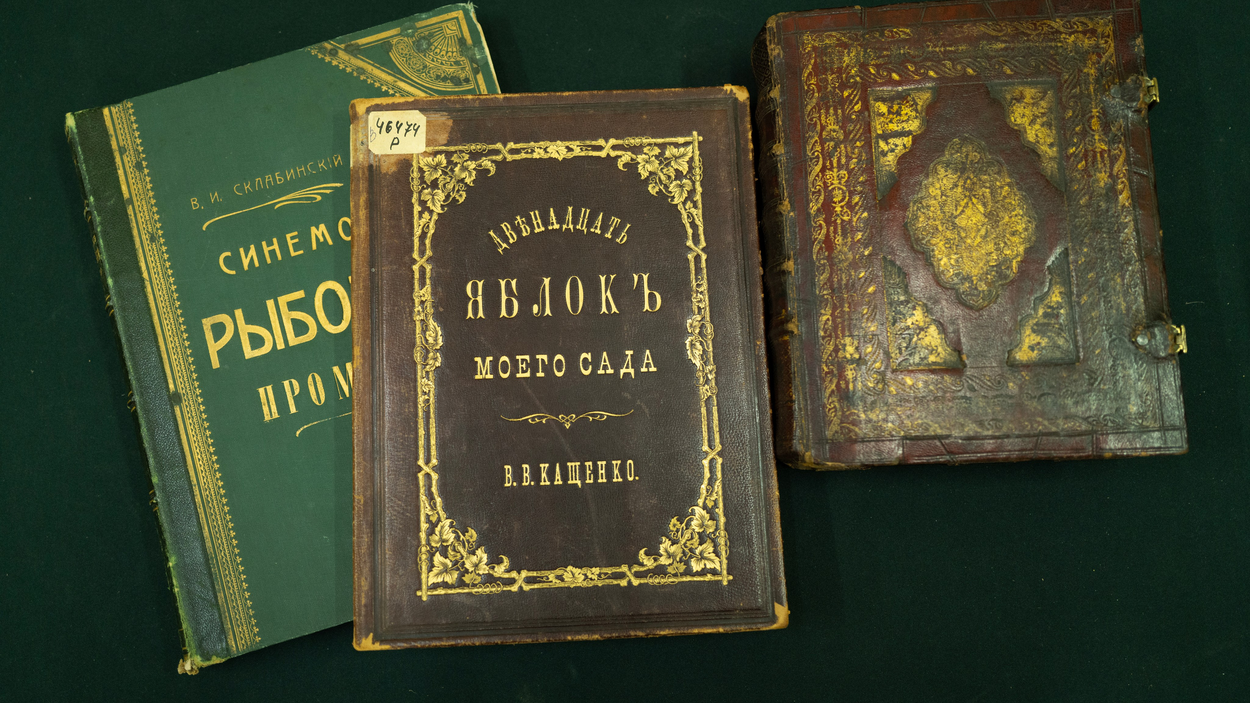редкие книги, библиомания, книголюб, библиотека, Астрахань, научная библиотека, историческая книга, печатная книга, иллюстрация, библиотека имени Крупской, образование, чтение, старинная книга, необычная книга