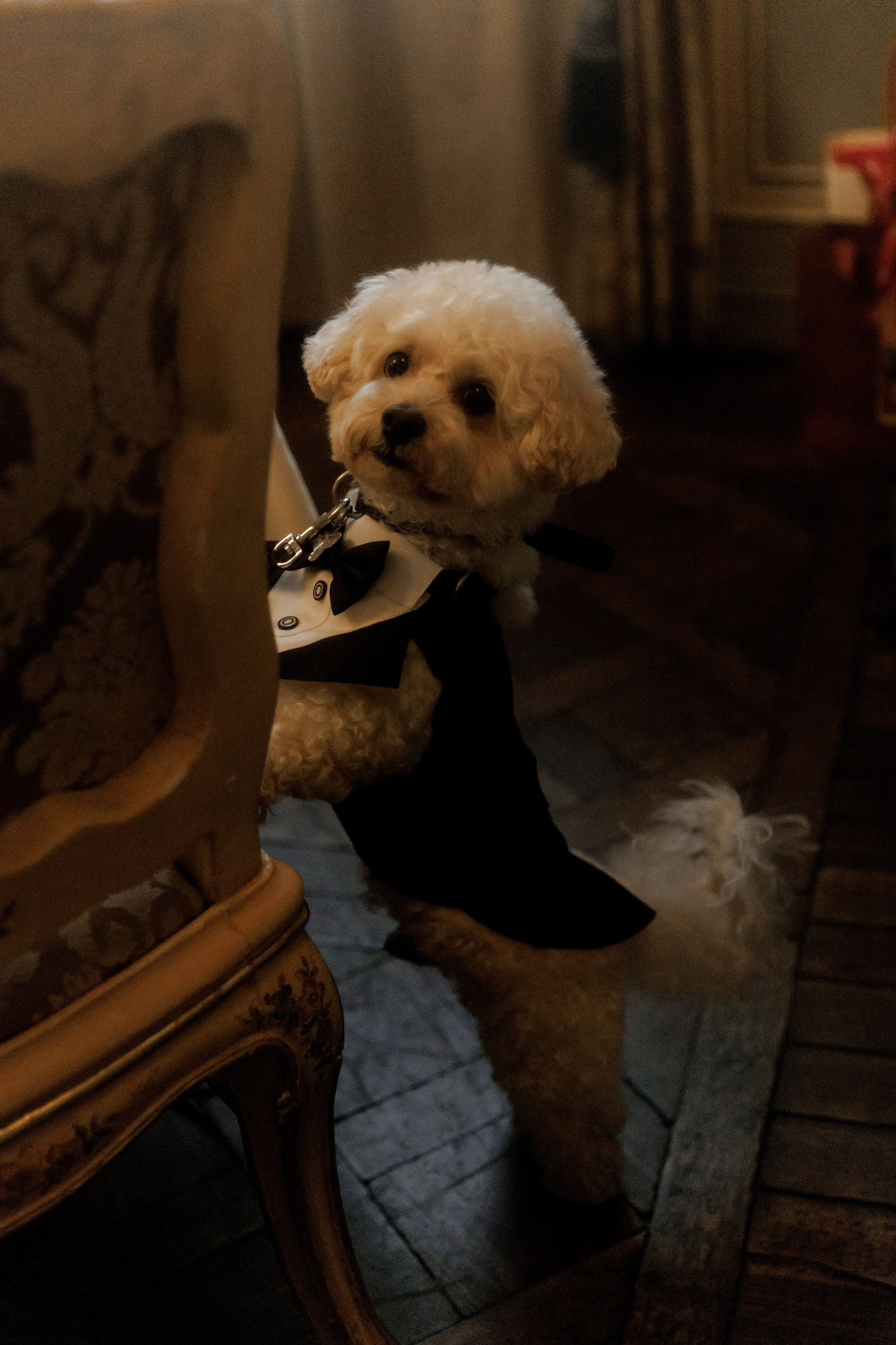 Александра & Александр. Свадебный фотограф в Москве и в Санкт-Петербурге