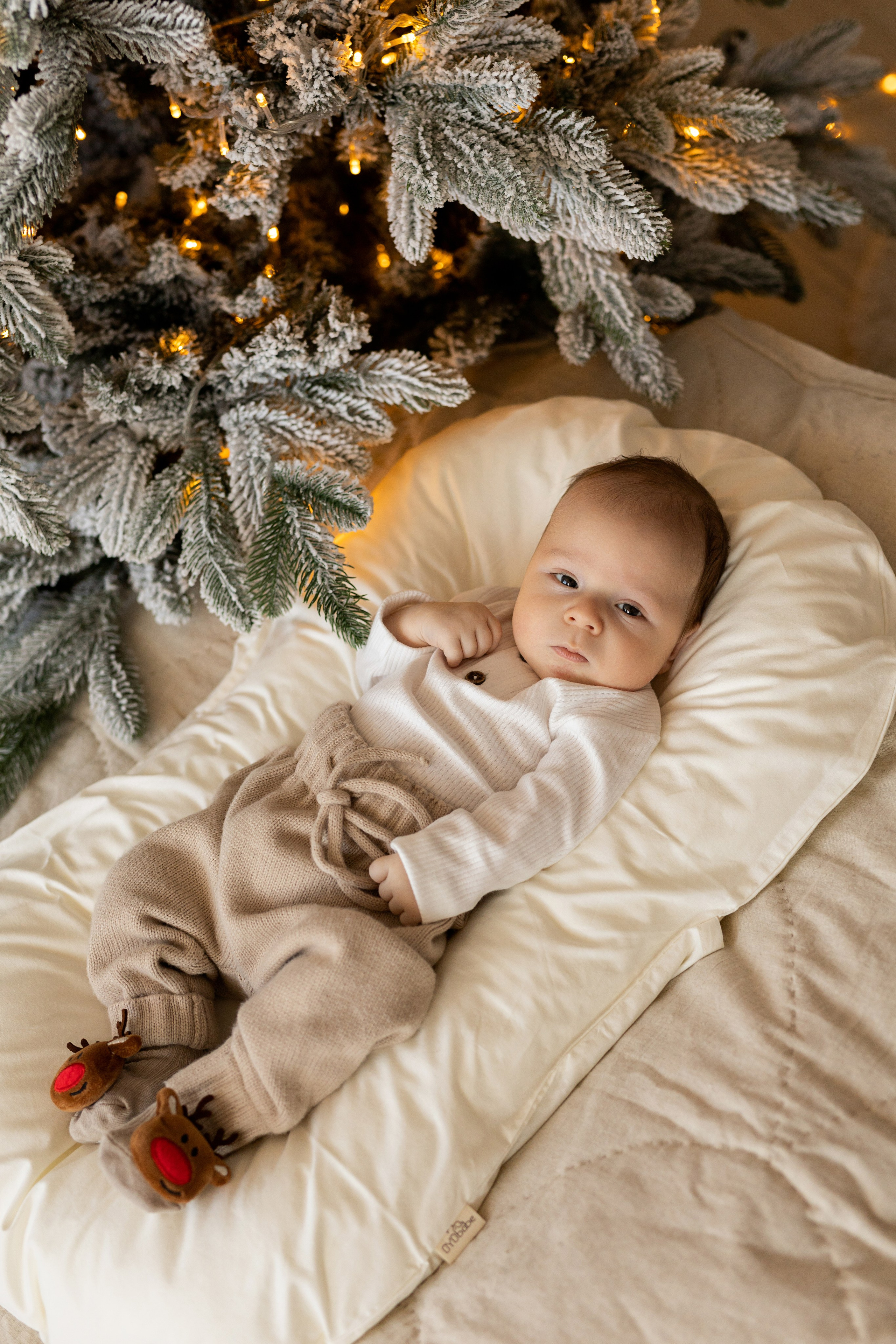 Семейная локация. Семейный фотограф в Каневской Епифанова Ольга