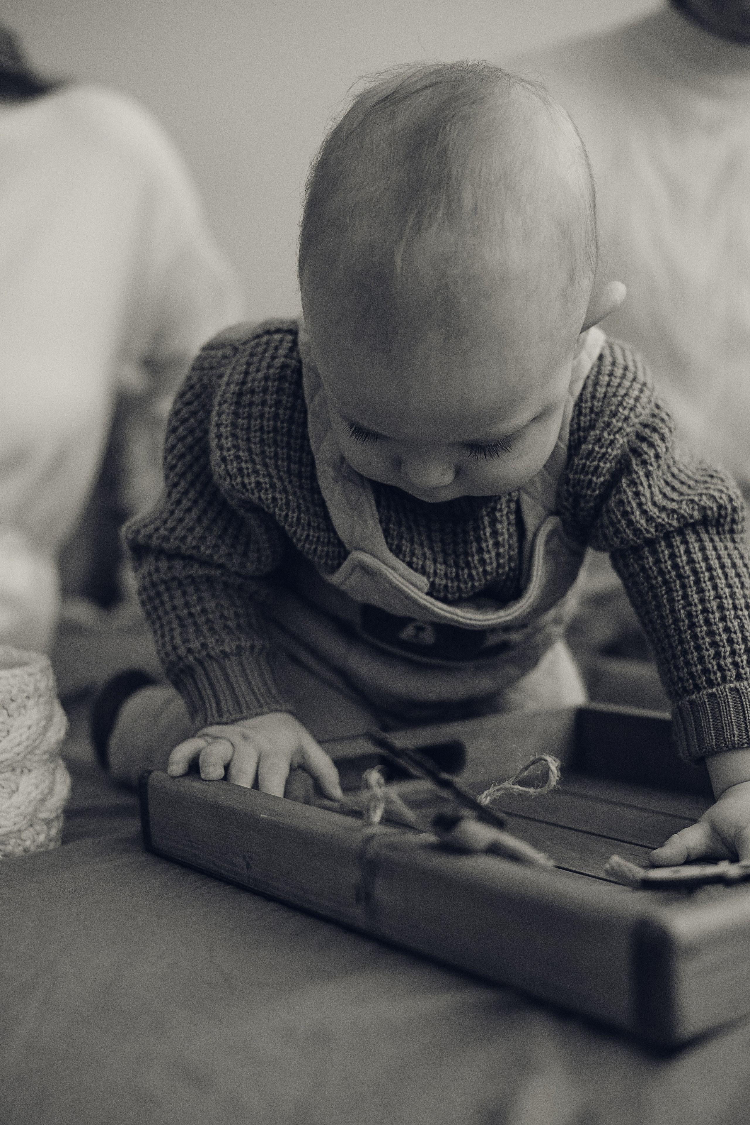 Собакинских, Птичка. Семейный и детский фотограф Иваново Ксения Азаренкова