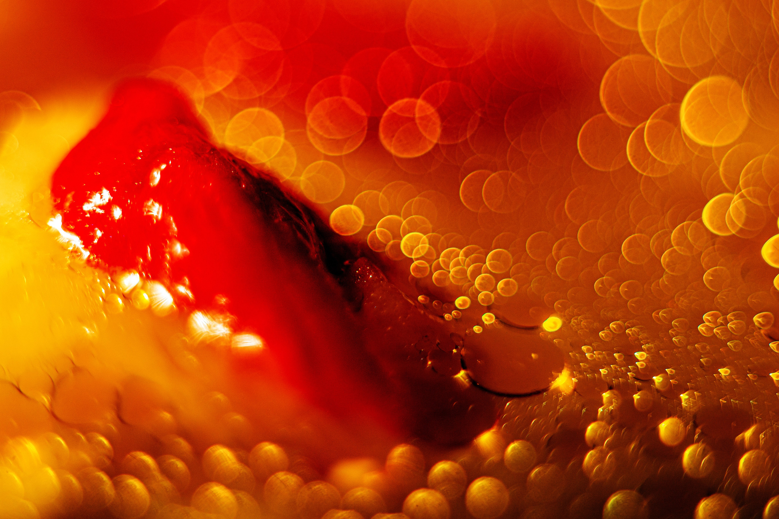 Неизведанная Вселенная. Главная