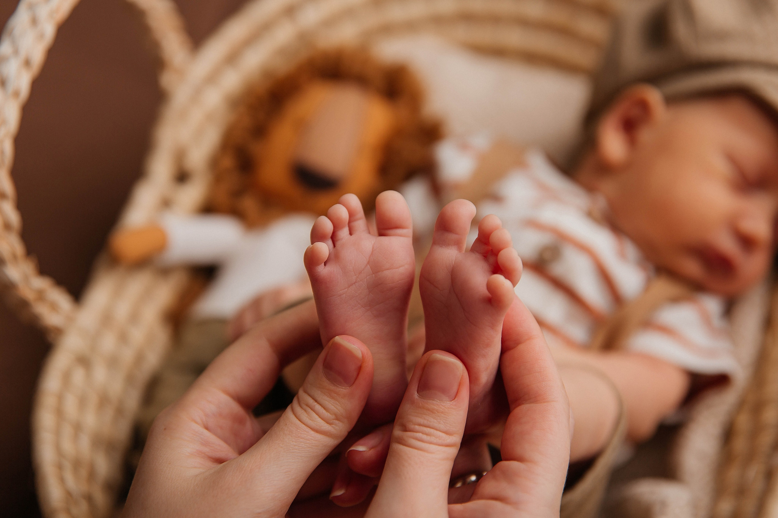 Лев. Фотограф новорожденных Тверь Диана Муляева