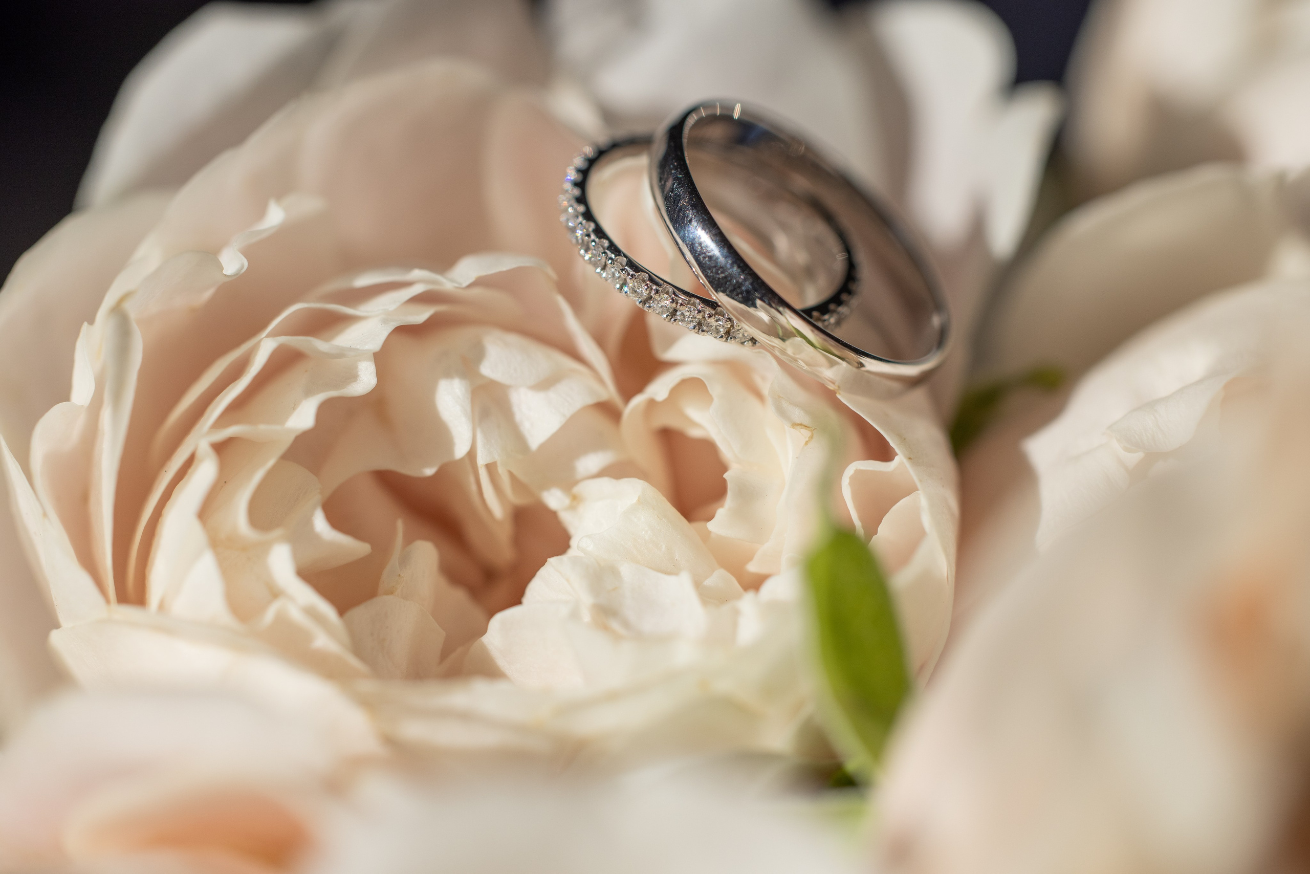 Яна и Илья. Свадебный фотограф Иван Петров