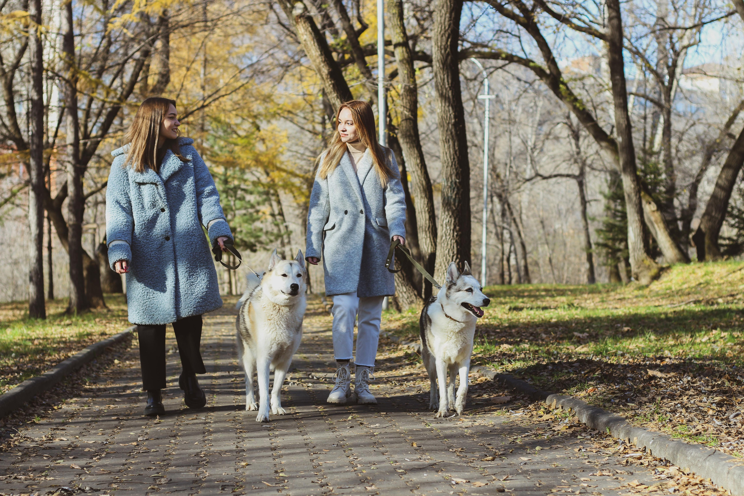 Прогулка 1. Алиса Томшина — Фотограф / Видеограф