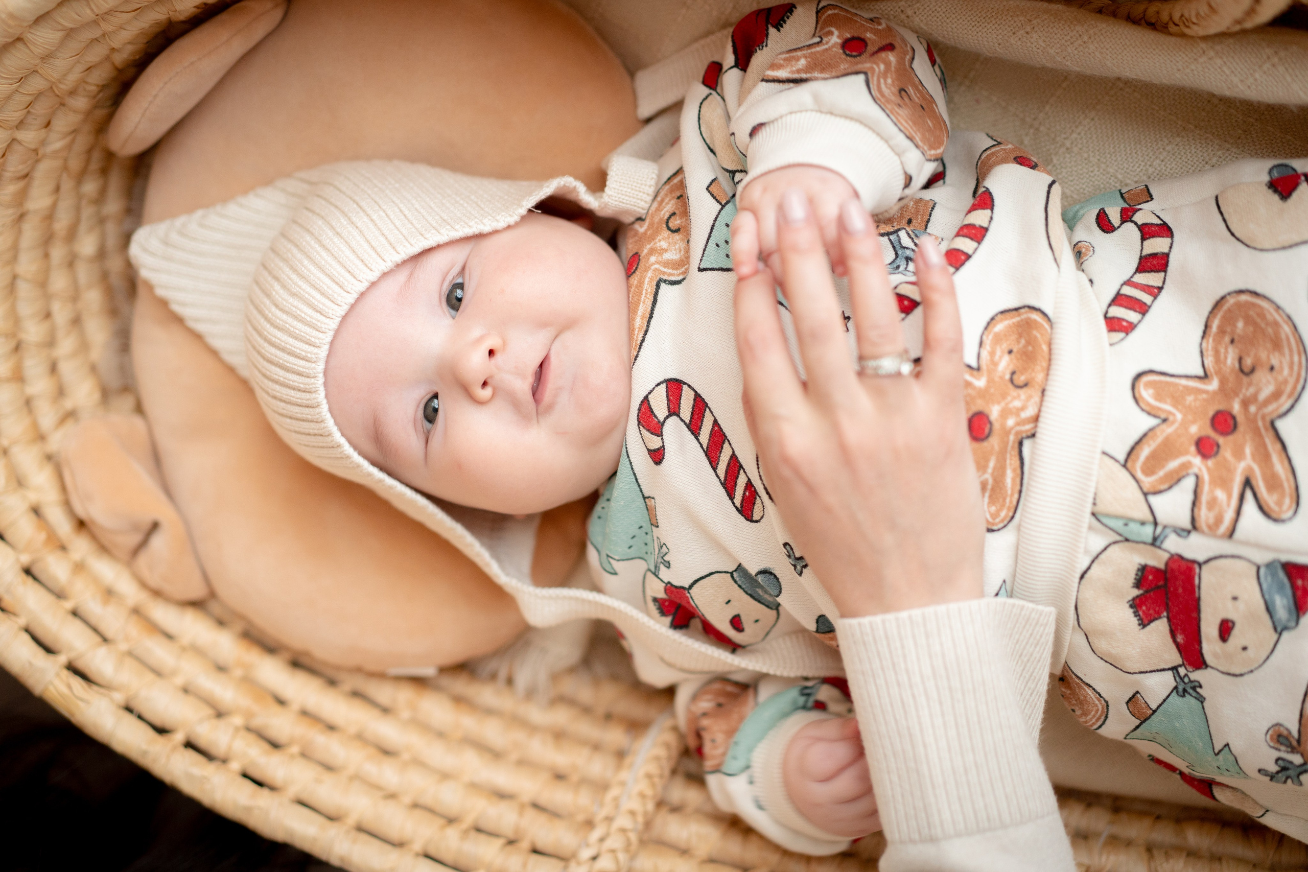 Тимошка, с наступающим Новым Годом!. Детская, семейная фотостудия в Санкт-Петербурге