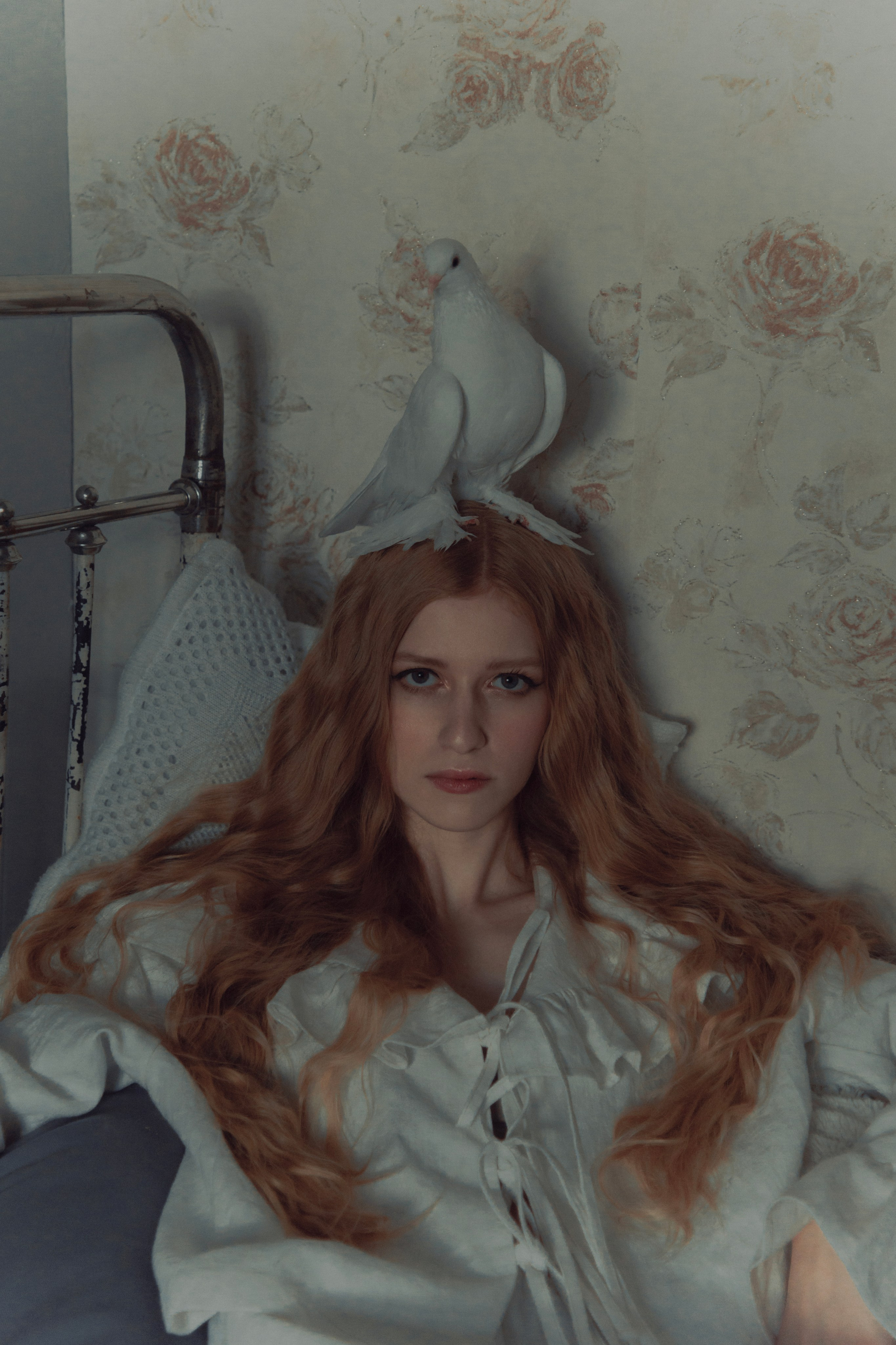 Голубь. Фотограф Anita Mivchas