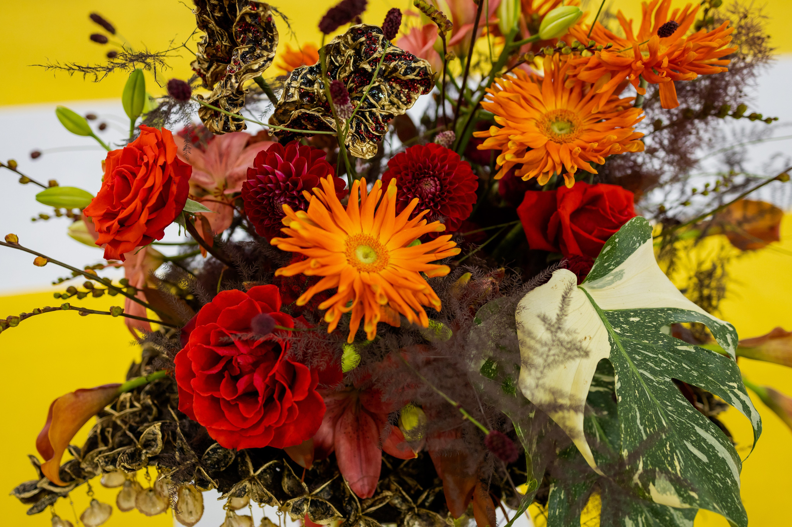 Цветы-Экспо 2025. Фотосессии и репортаж — Фотограф в Москве — Рина Серёгина